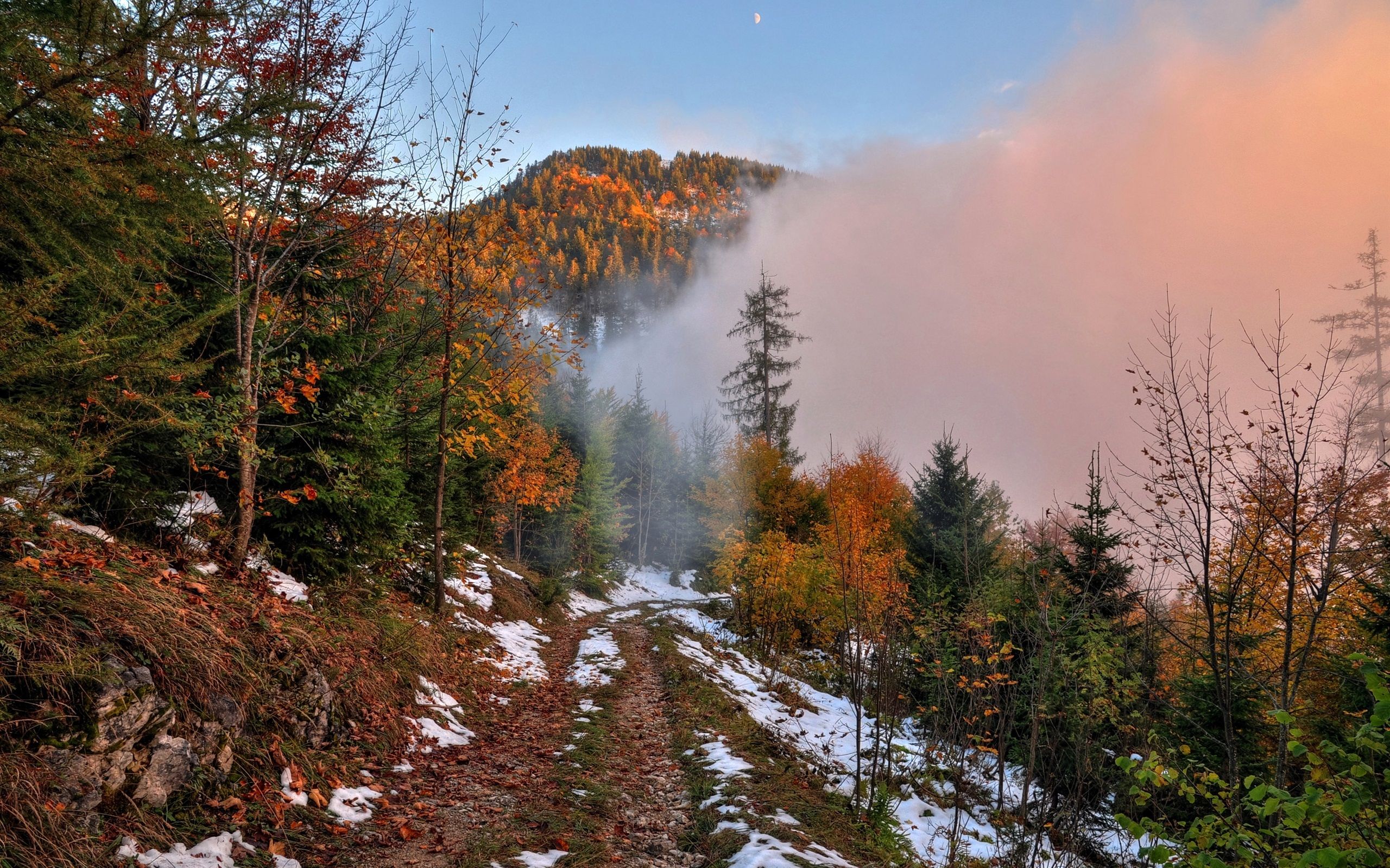 Wallpaper Autumn, mountain, footpath, snow, forest, trees, fog, dawn 2560x1600 HD Picture, Image