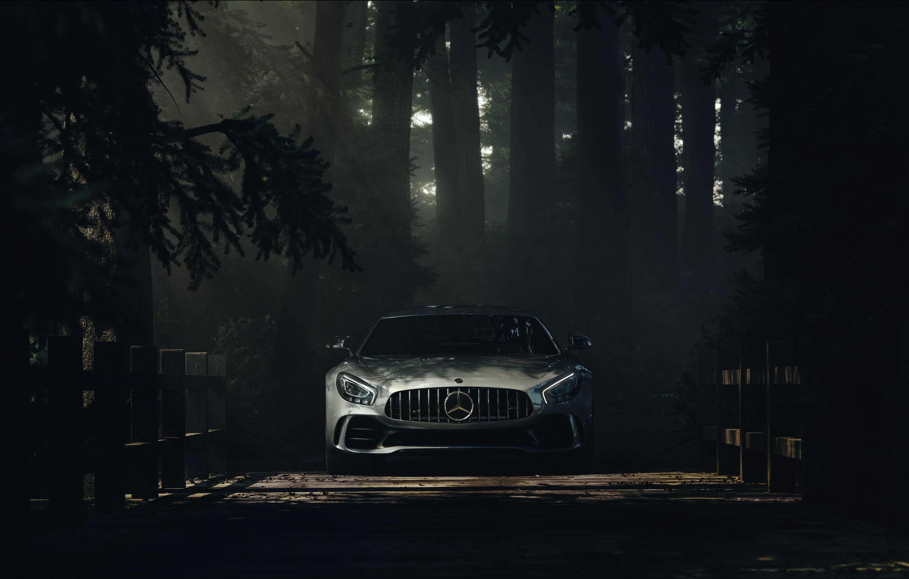 Mercedes Benz Amg GT Forest, HD Cars, 4k Wallpaper, Image, Background, Photo and Picture