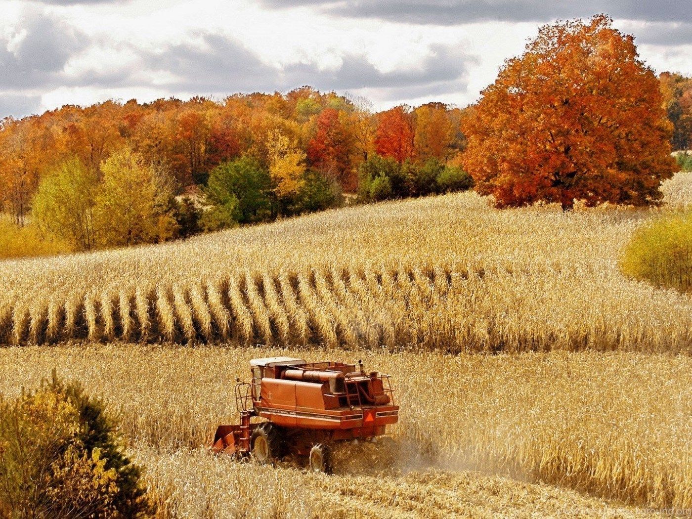 International Harvester HD Wallpaper Desktop Background