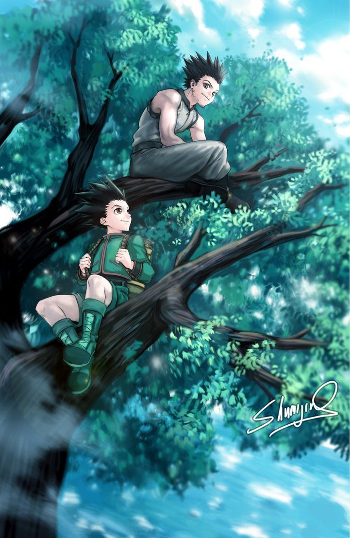 jin friks  Hunter x hunter, Anime, Ging freecss