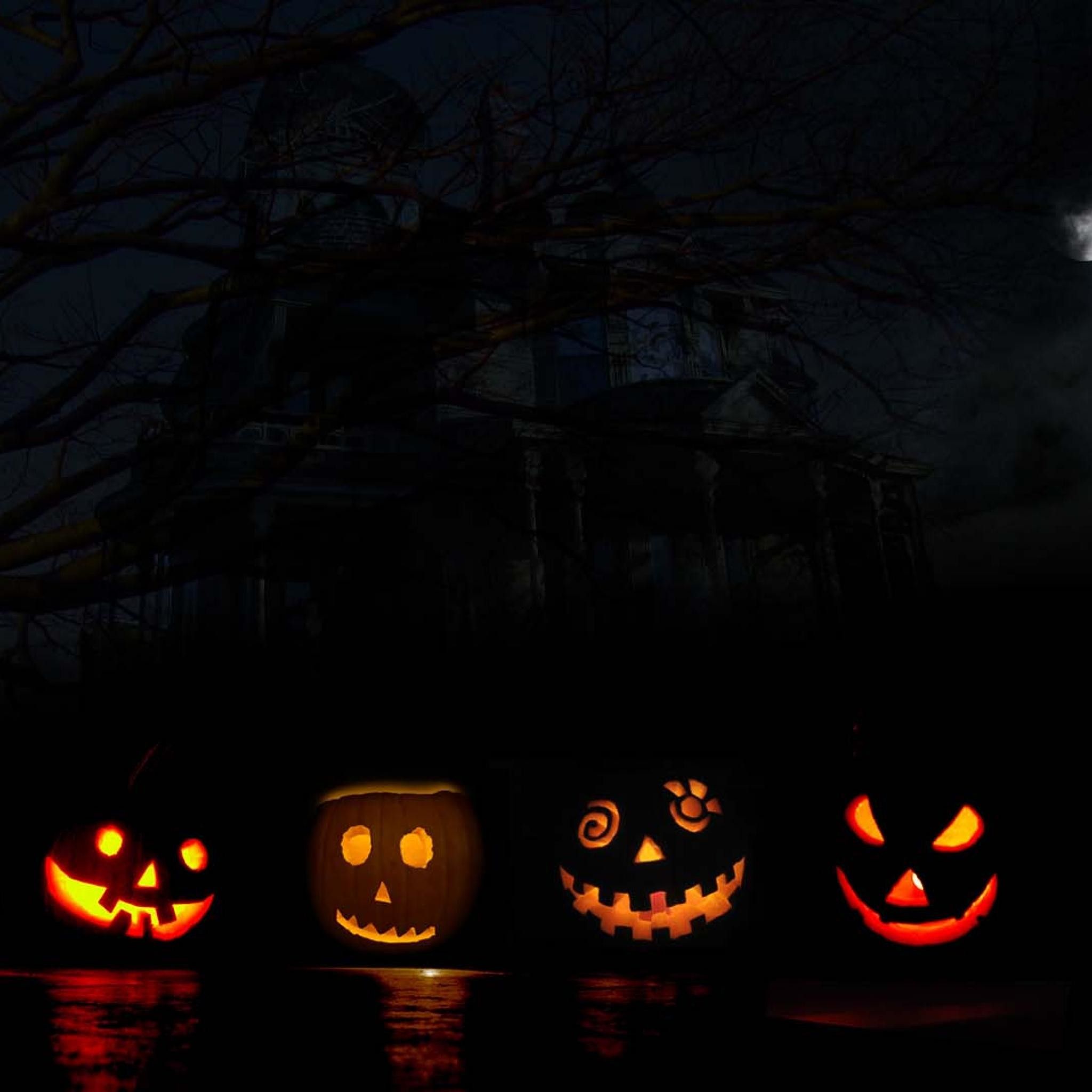 Live Photo iPhone Wallpaper. Scary halloween pumpkins, Pumpkin wallpaper, Halloween wallpaper