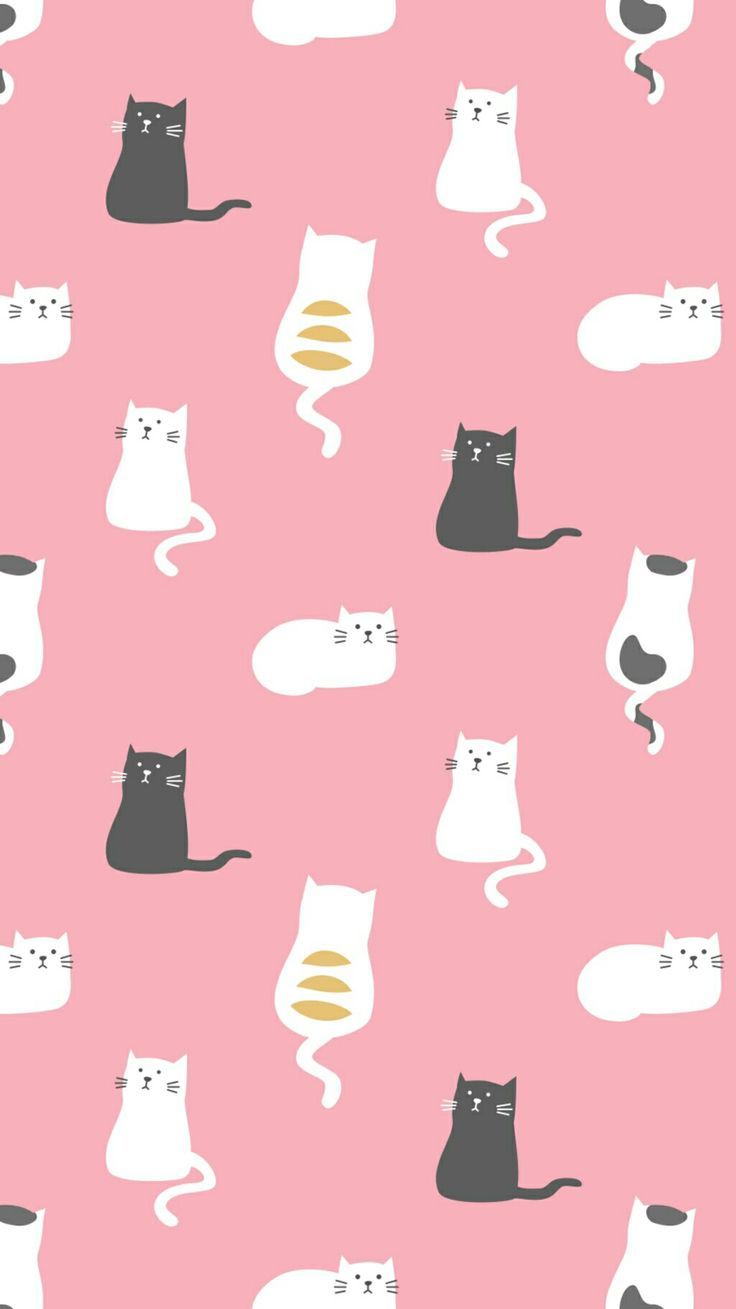 Kitty cute. Cat phone wallpaper, Wallpaper design pattern, Cat wallpaper