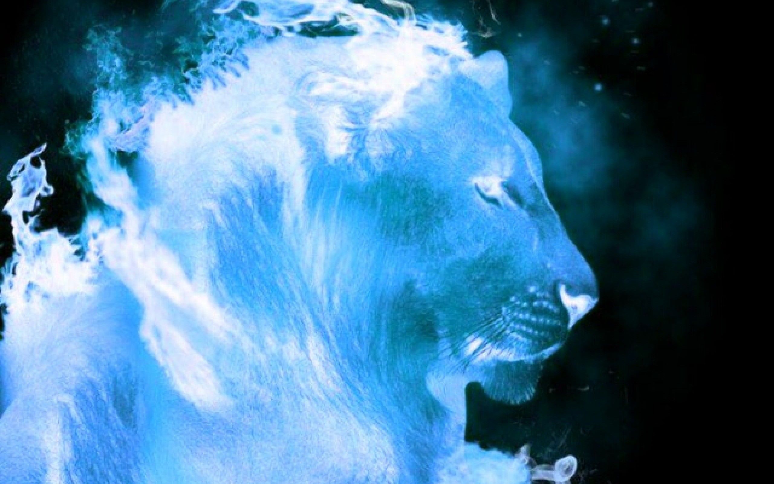 Blue Fire Lion Ice Wallpaper