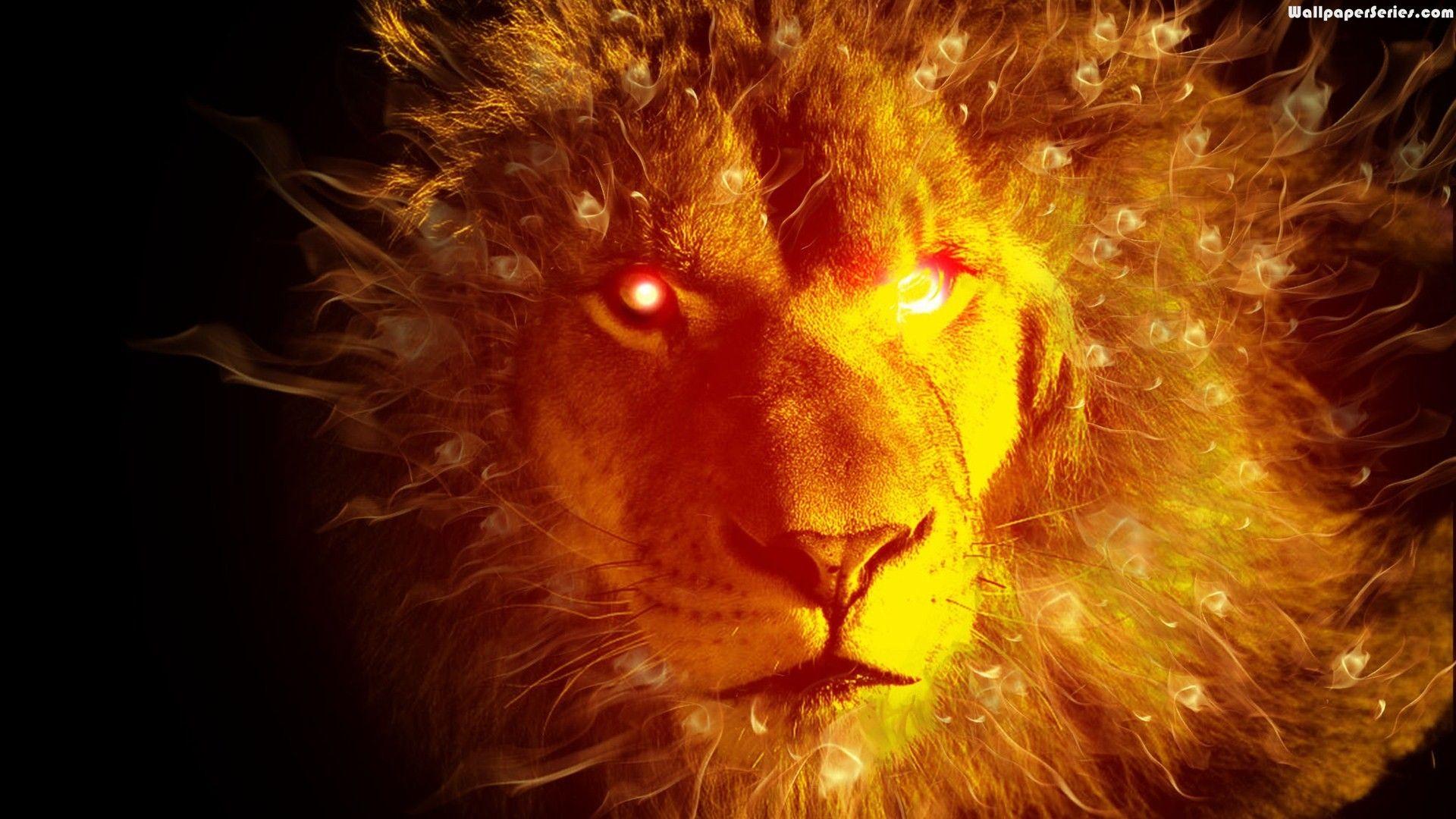 Fire Lion HD Wallpaper Free Download