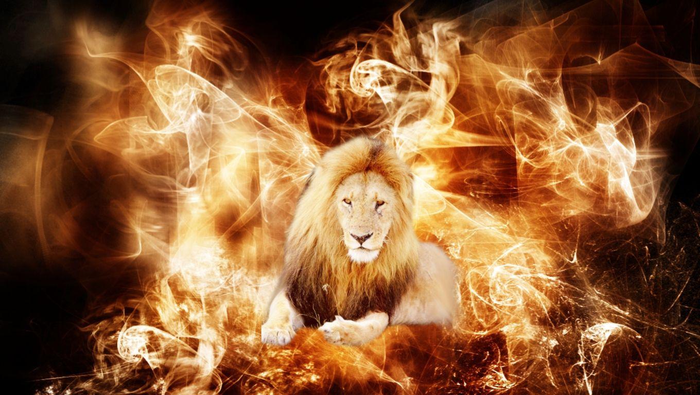 High Resolution Fire Lion Wallpaper HD