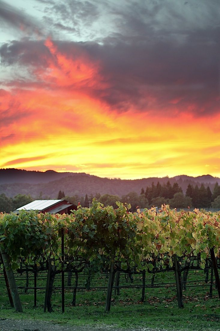 Napa, California. Beautiful places, Yountville