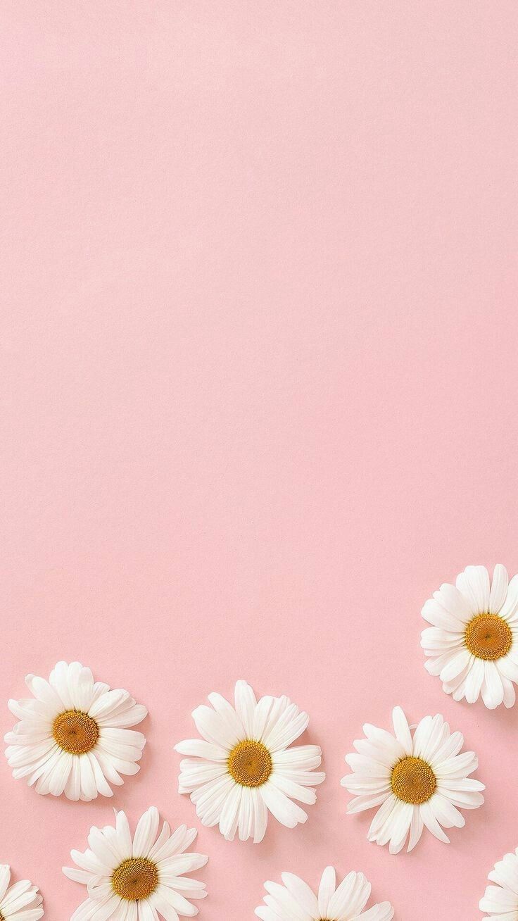 aesthetic wallpapers