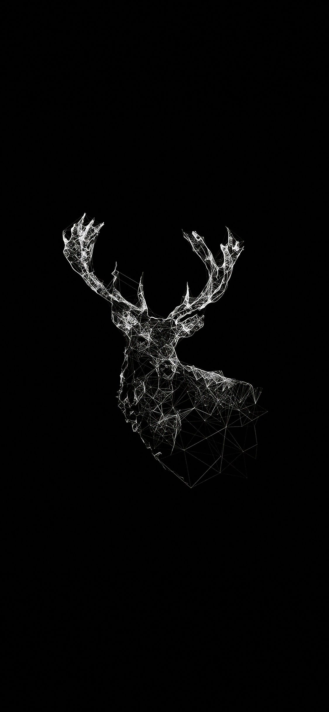 Deer Animal Illust Dark