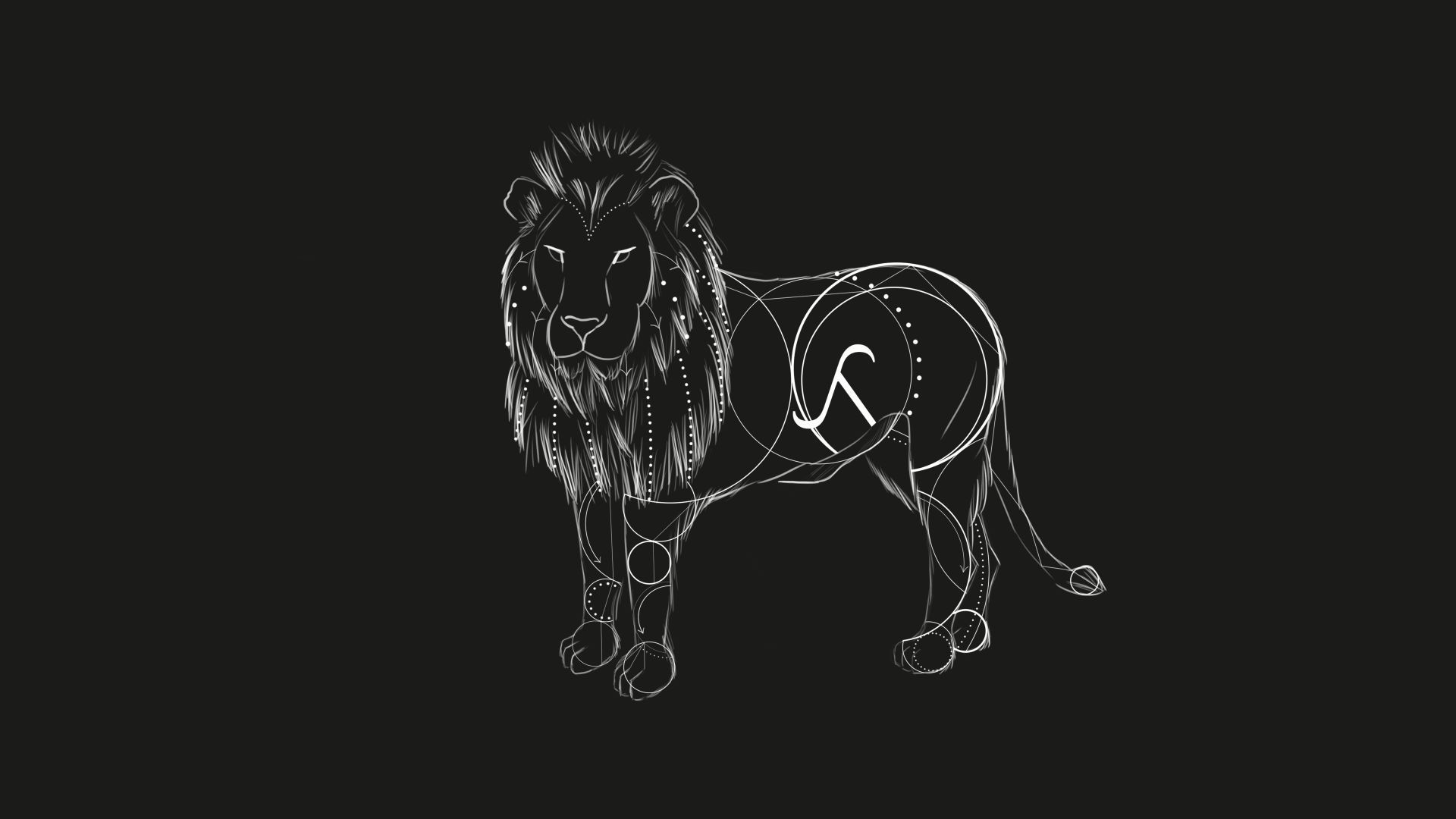 Lion Black and White Wallpaper