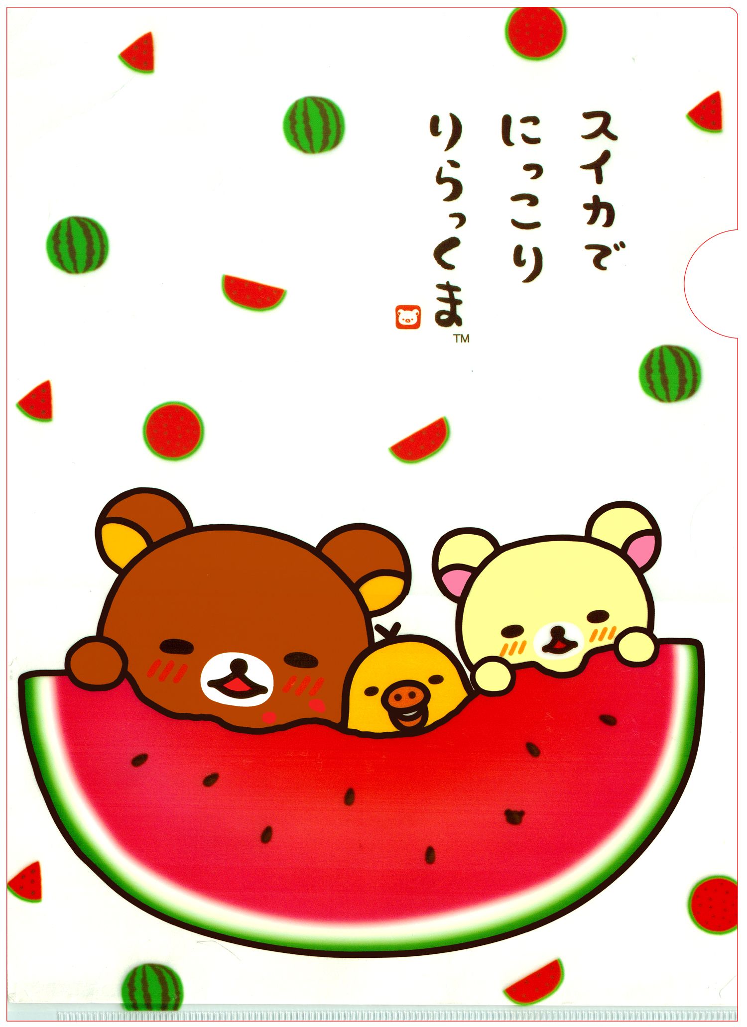 San X Rilakkuma Summer Watermelon File Folder. Rilakkuma Wallpaper, Rilakkuma, Kawaii