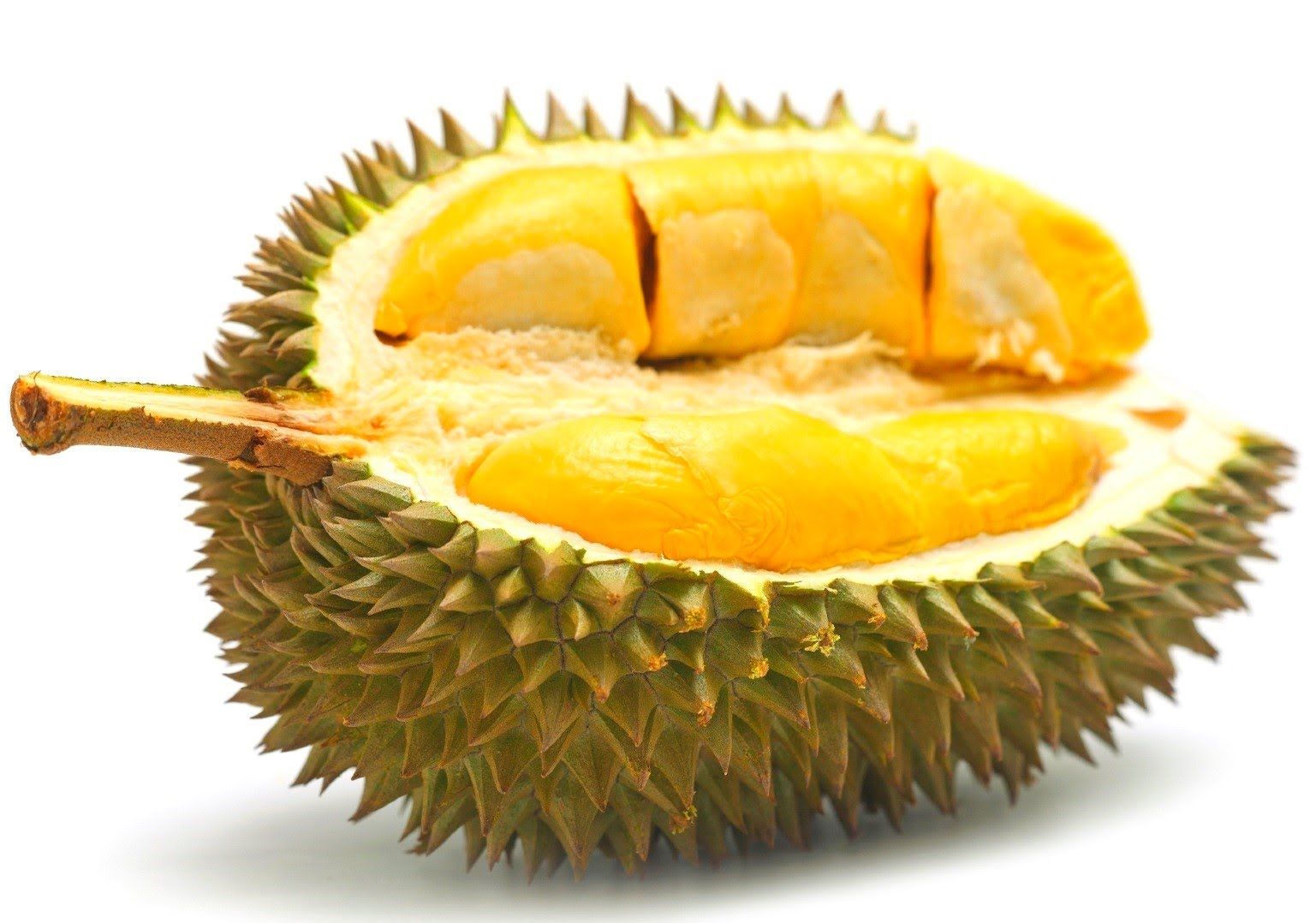Sintel, the Durian Open Movie Project » Blog Archive » Sintel