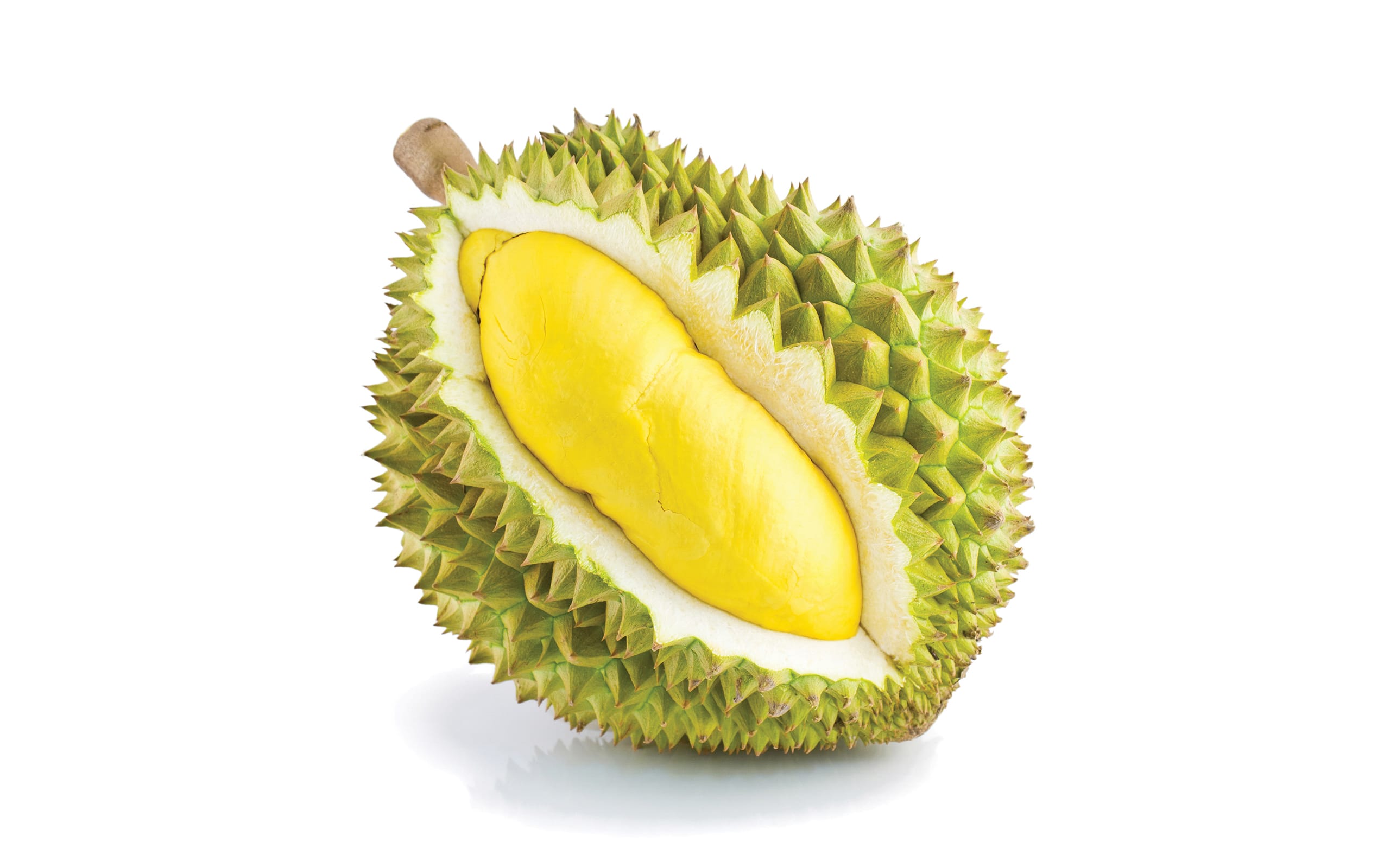 Durian Wallpapers - Wallpaper Cave