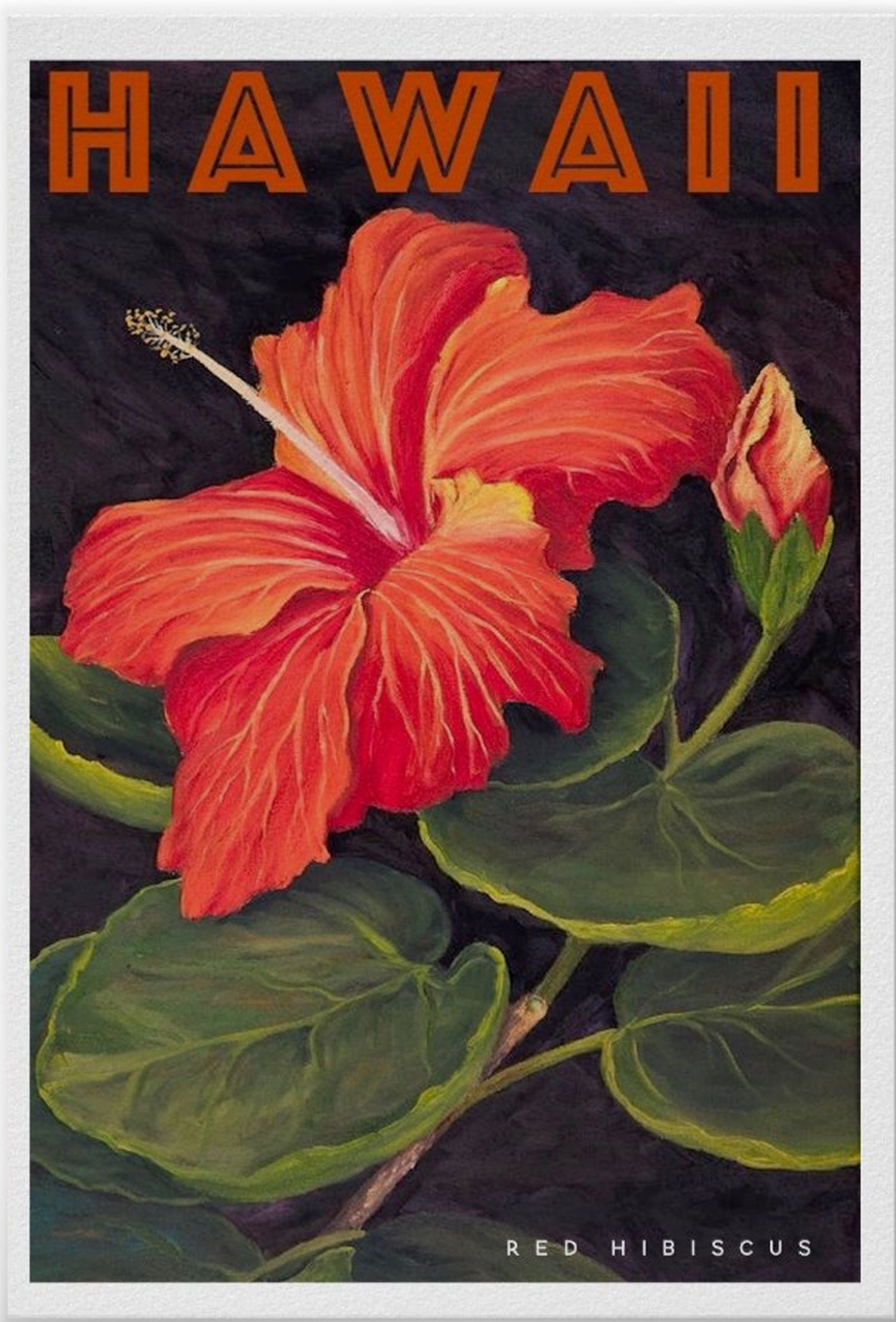Beautiful Vintage Hawaiian Travel Poster. Vintage flowers wallpaper, Hawaii art, Vintage hawaii
