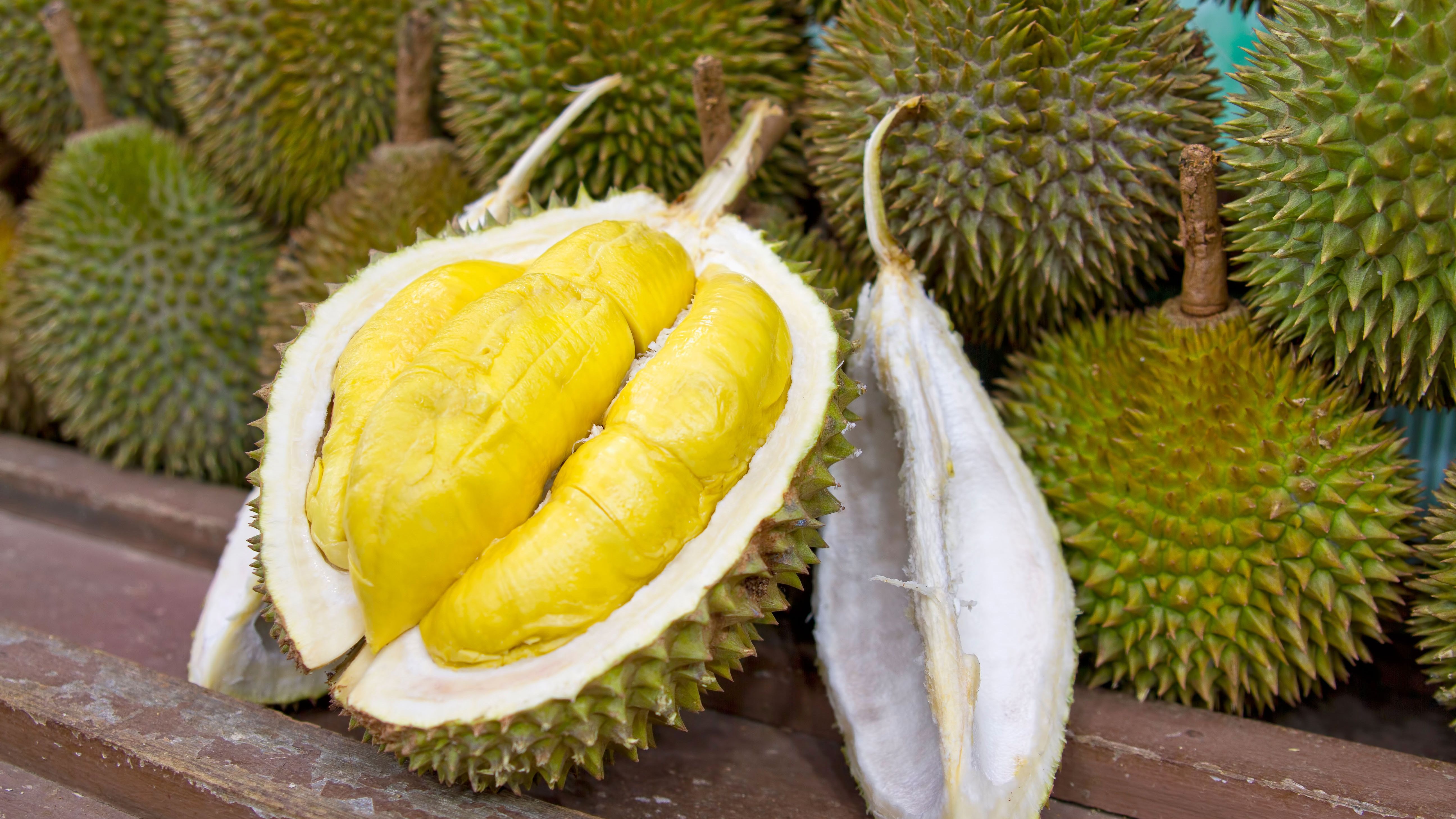 Durian Wallpapers - Wallpaper Cave