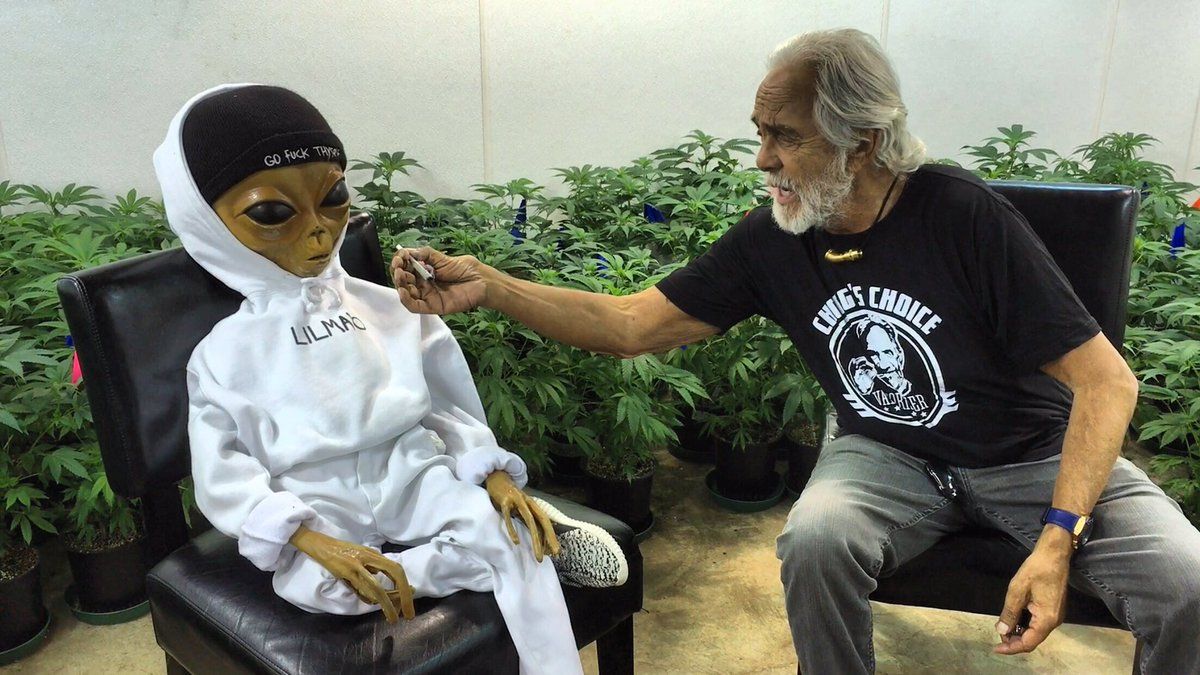 LIL MAYO Twitterren: BRUH I JUST WOKE UP FROM A 420 KUSH COMA AND ENDED UP HERE WITH