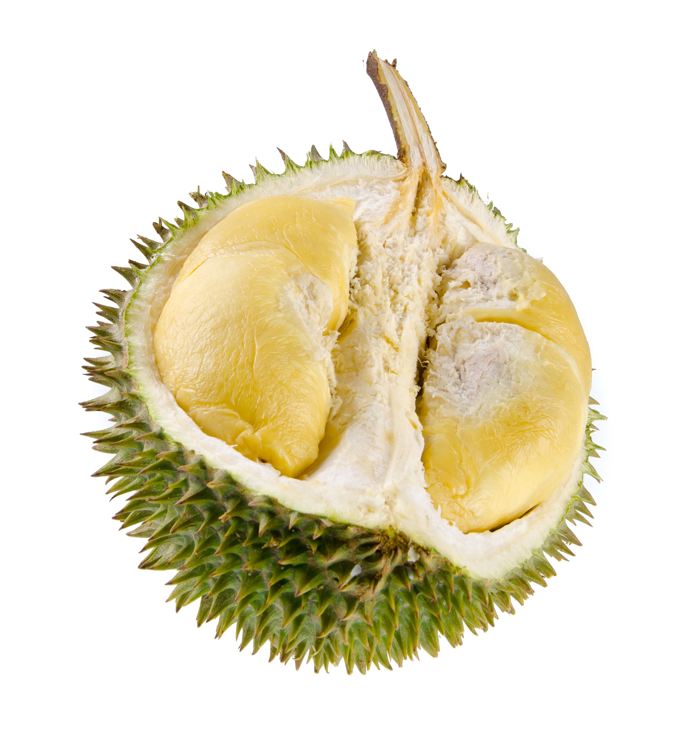 Durian Wallpapers - Wallpaper Cave