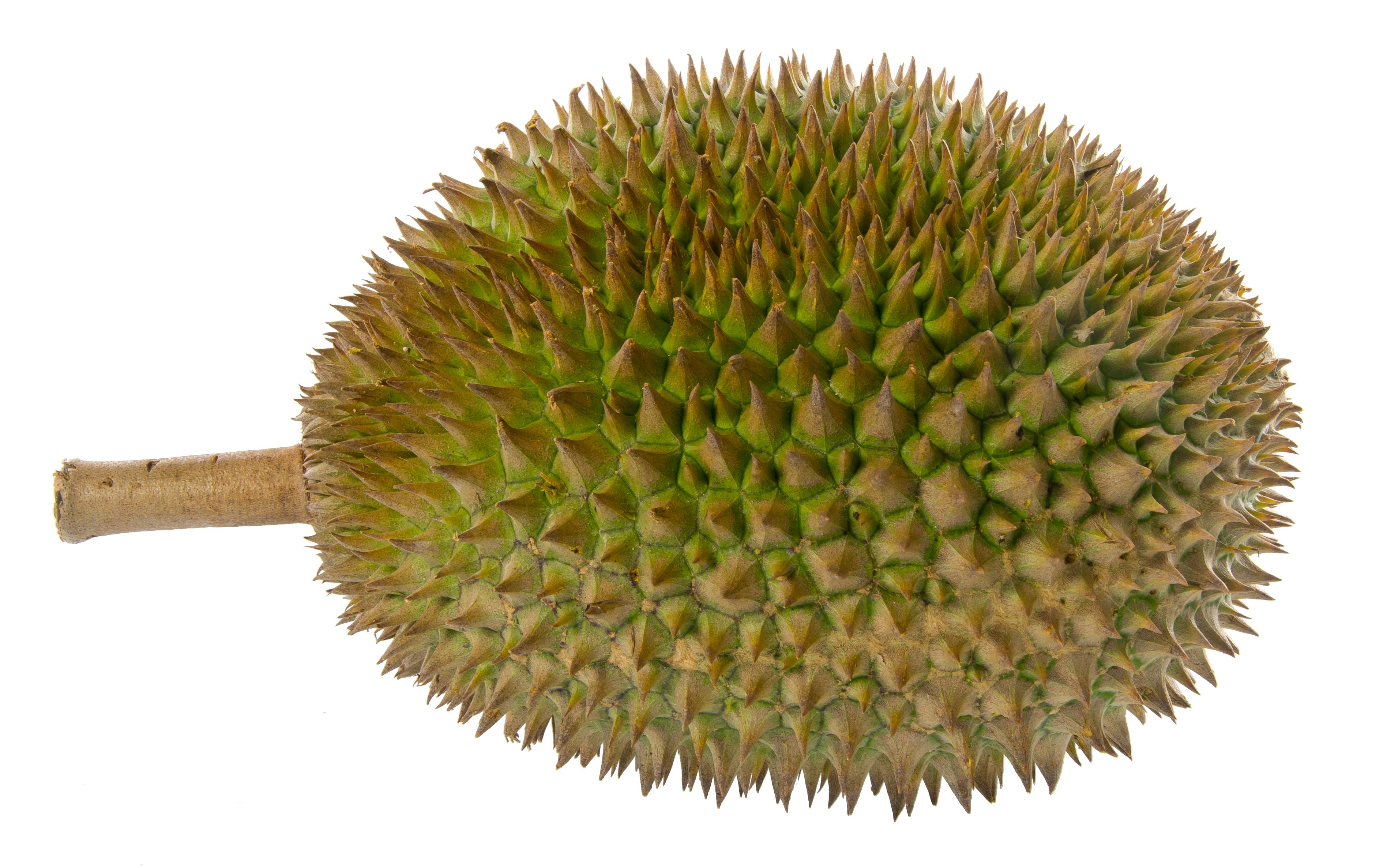 Durian Wallpapers - Wallpaper Cave