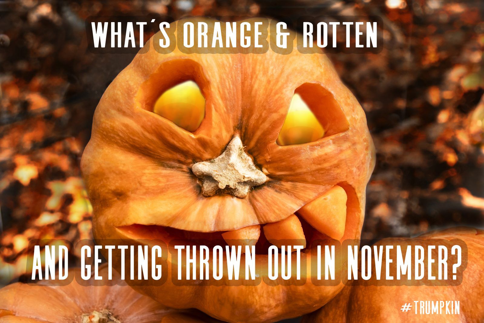 Halloween memes wallpapers wallpaper cave