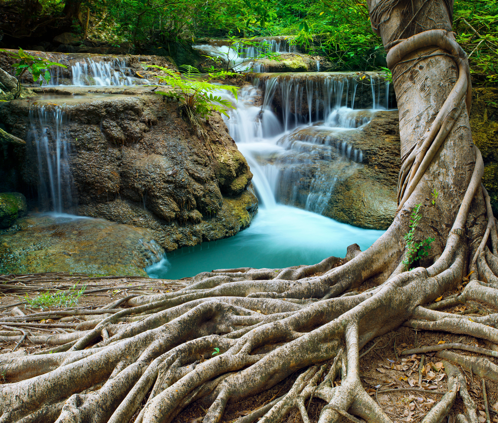 Banyan tree and limestone waterfalls Custom Mural Wallpaper for Restaurant Cafe Bar Decoration Wall Painting