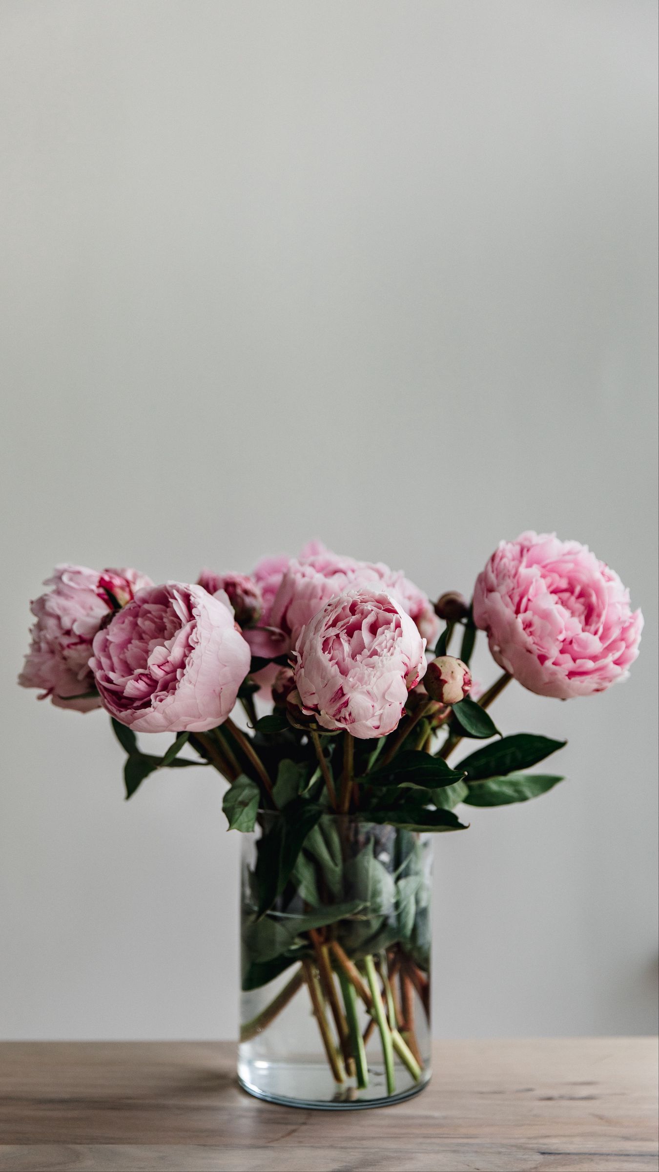 Download wallpaper 1350x2400 peonies, flowers, bouquet, pink, vase iphone 8+/7+/6s+/for parallax HD background