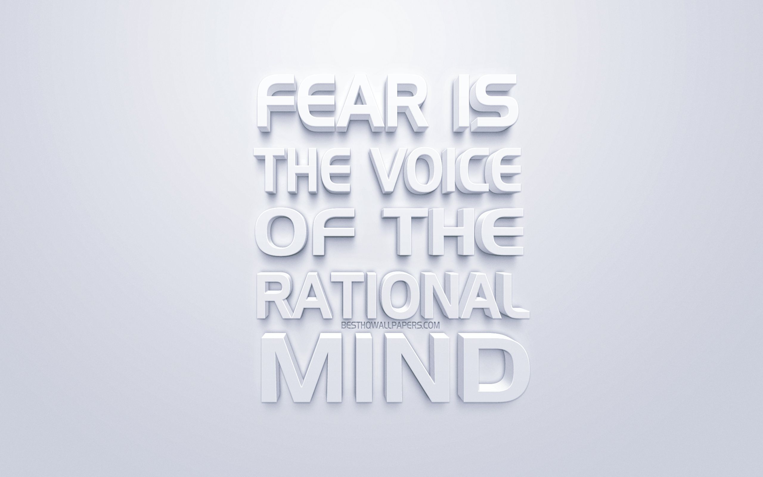 Download wallpaper Fear is the voice of the rational mind, quotes about fear, white 3D art, popular quotes, white background, inspiration quotes for desktop with resolution 2560x1600. High Quality HD picture wallpaper