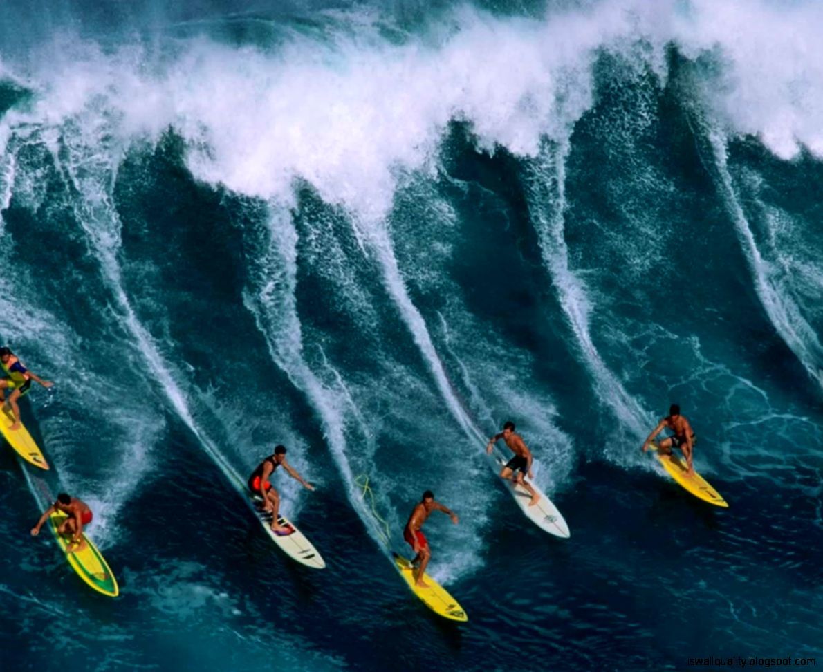 Free Download Wallpaper Water Sports Surfing HD