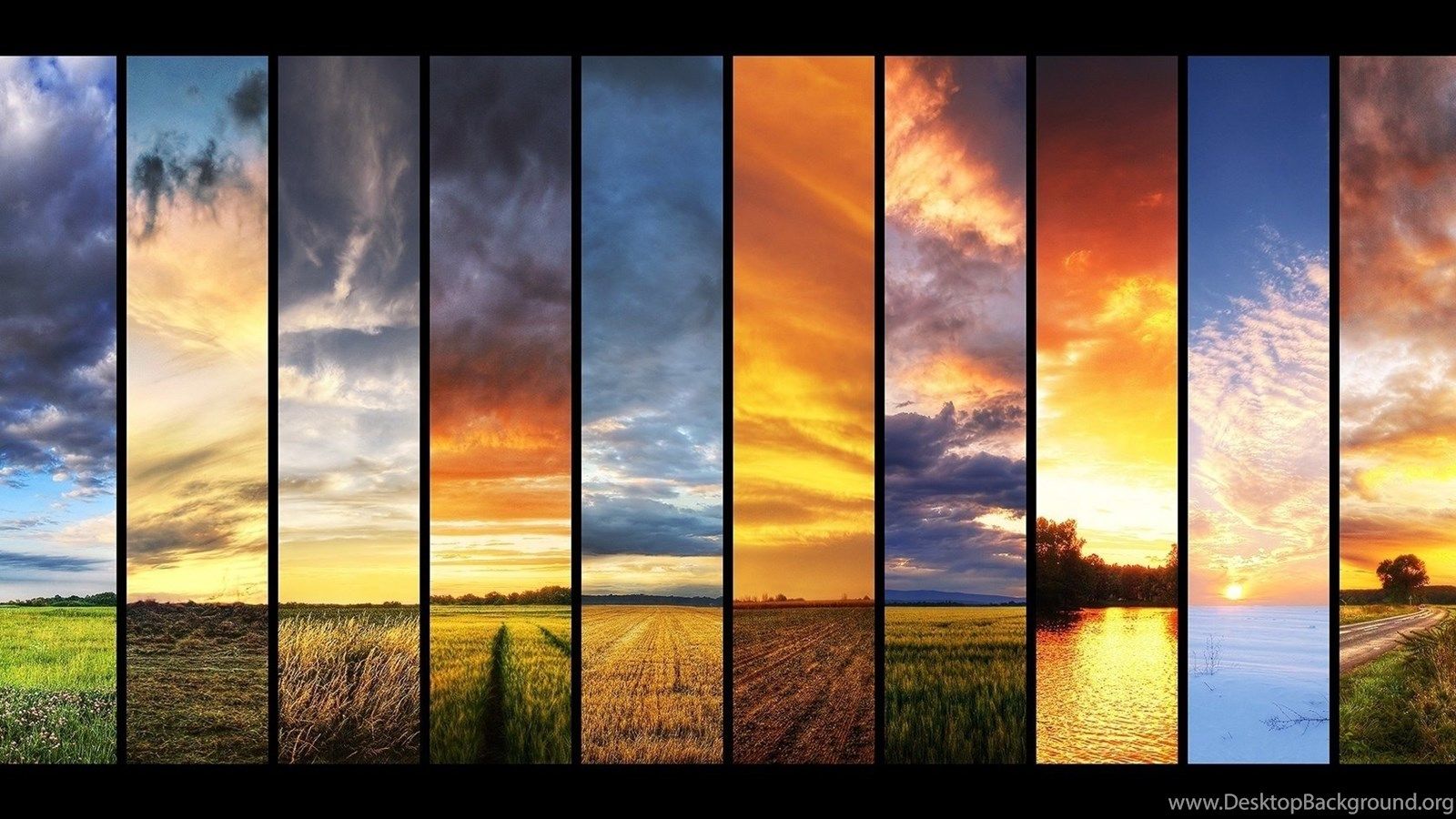 Summer, Spring, Seasons, The Sun, Collage, Autumn. Desktop Background