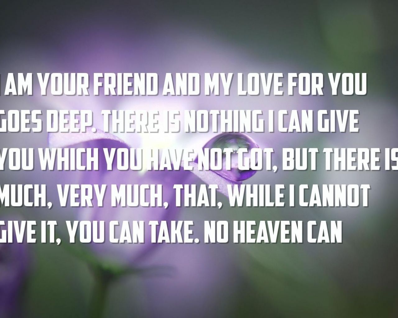 Free download heaven peace Quotes Wallpaper I am your friend and my love for you [1680x1050] for your Desktop, Mobile & Tablet. Explore Wallpaper You Not My Friends