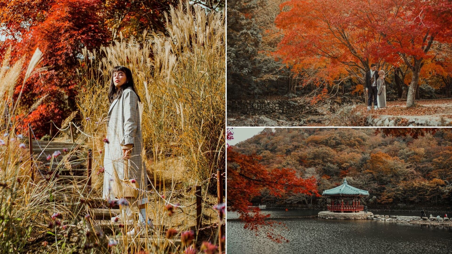 Photo That'll Convince You To Explore South Korea This Autumn Season Travel Blog