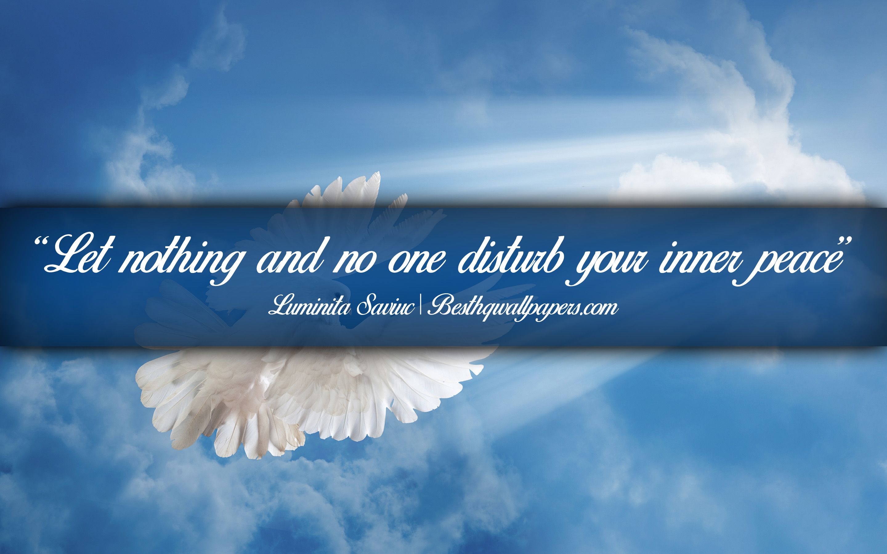 Download wallpaper Let nothing and no one disturb your inner peace, Luminita Saviuc, calligraphic text, quotes about Peace, Luminita Saviuc quotes, inspiration, background with dove for desktop with resolution 2880x1800. High Quality