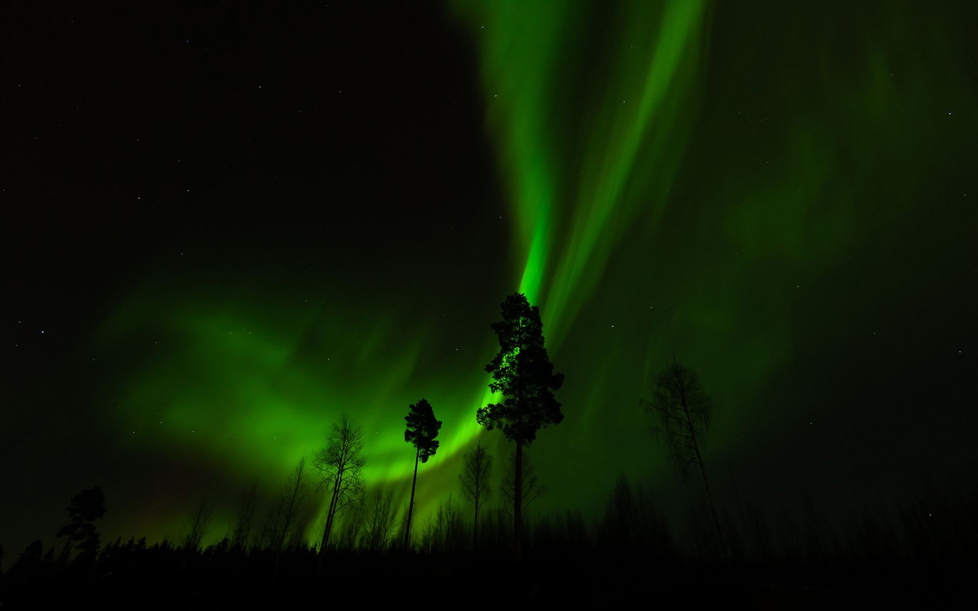 Aurora Borealis Northern Lights Night Green Trees Stars sky landscapes wallpaperx1200