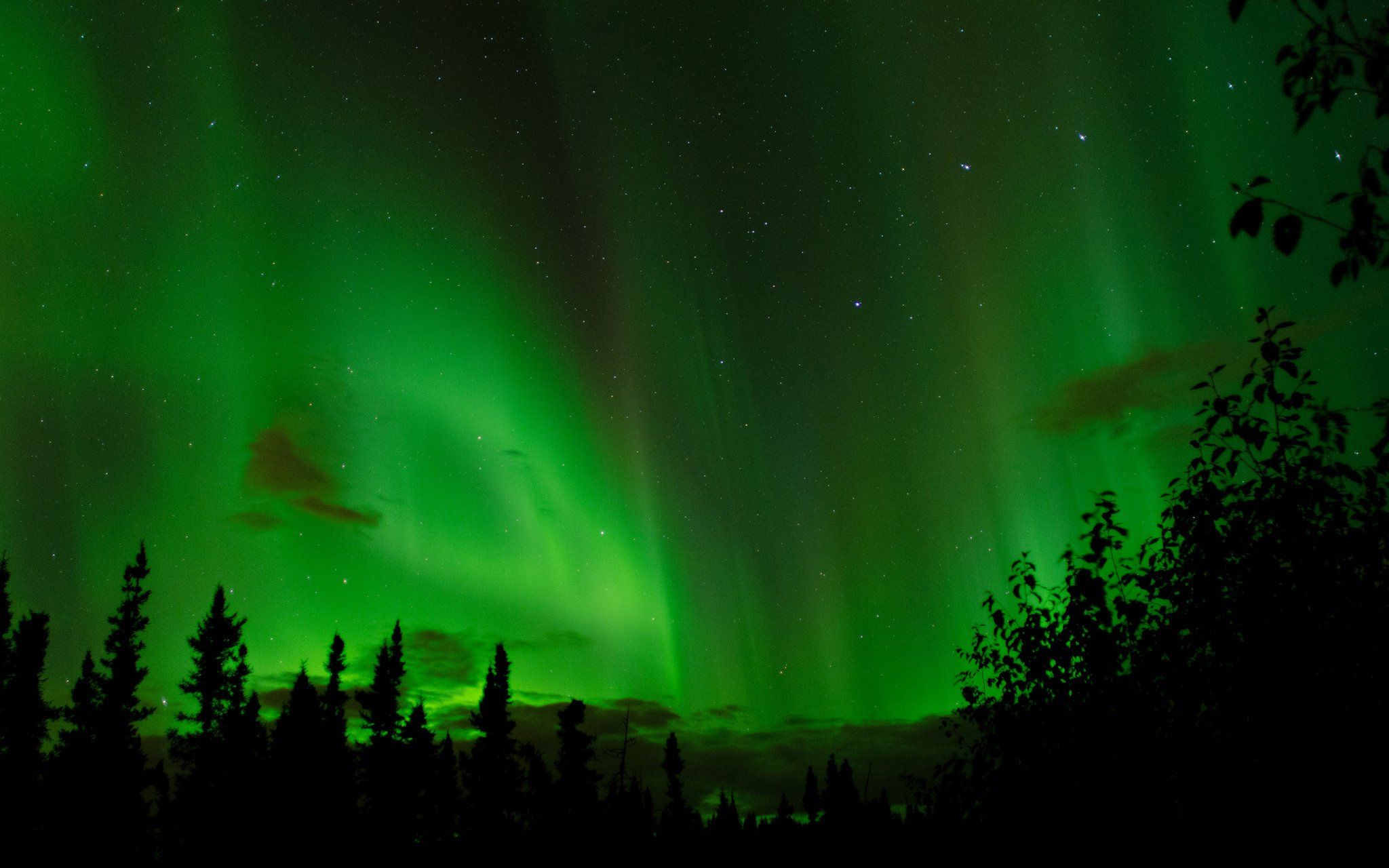 Alaska Artic aurora boreale borealis landscape Lights nature northern outdoors sky wallpaperx1280