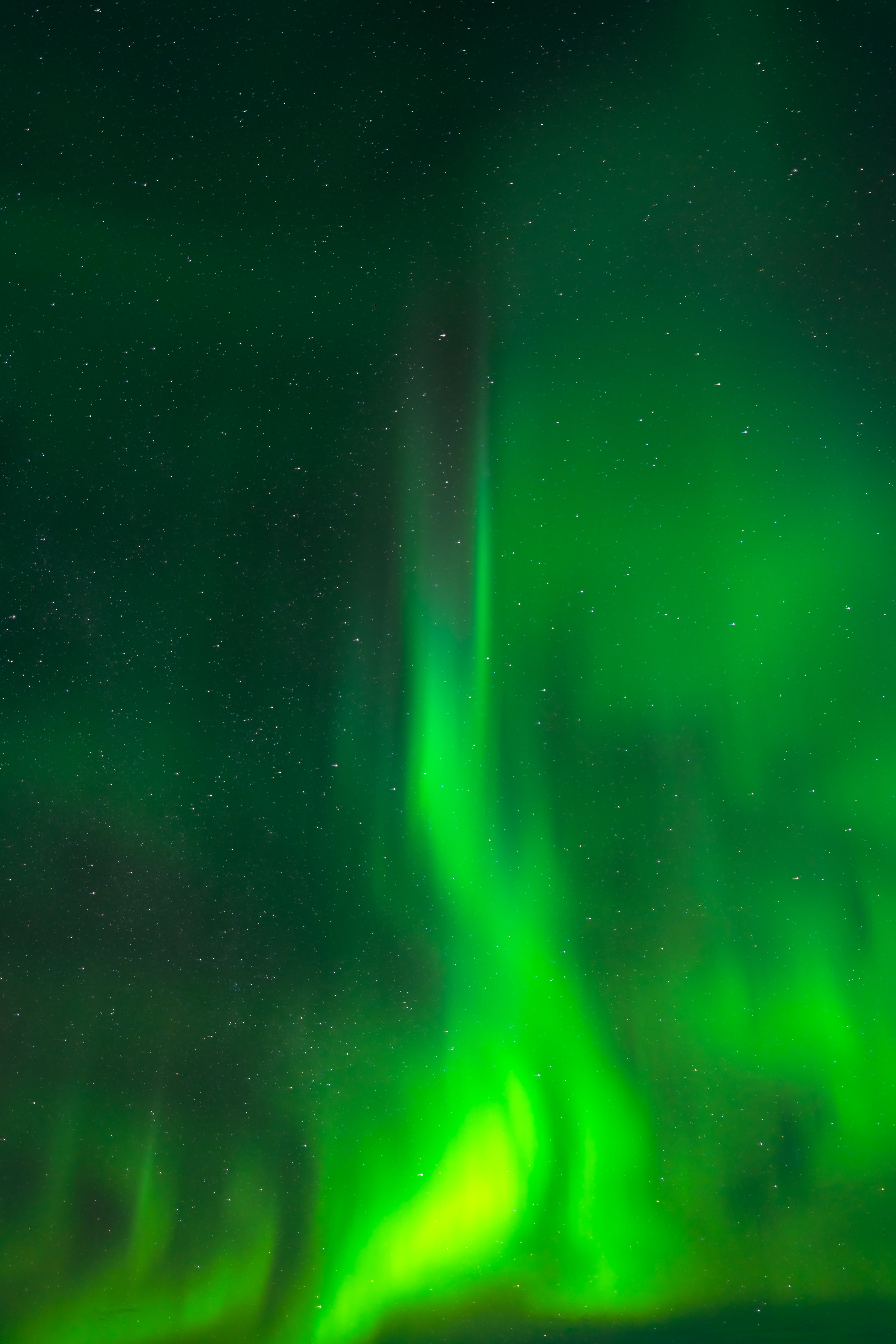 Download wallpaper 5168x7748 northern lights, light, green, sky, night HD background
