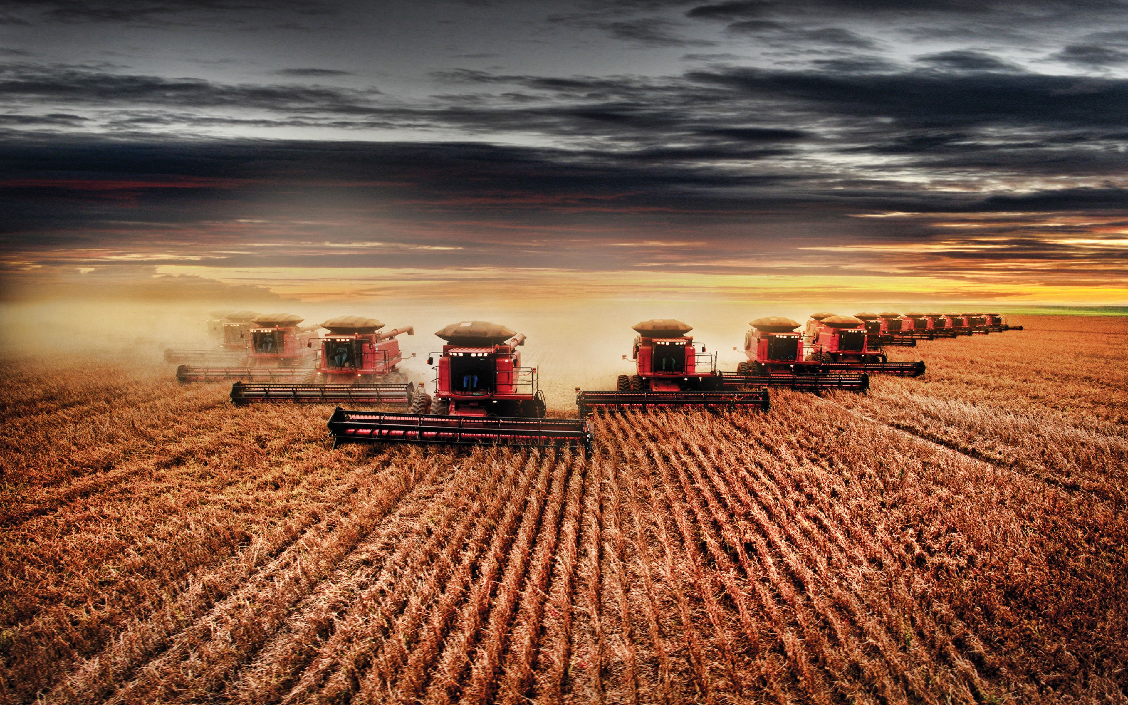 Download wallpaper Case IH Axial Flow 4k, harvest, 2019 combines, agricultural machinery, HDR, wheat harvest, Axial Flow Series, Combines in the field, agriculture, Case for desktop with resolution 3840x2400. High Quality