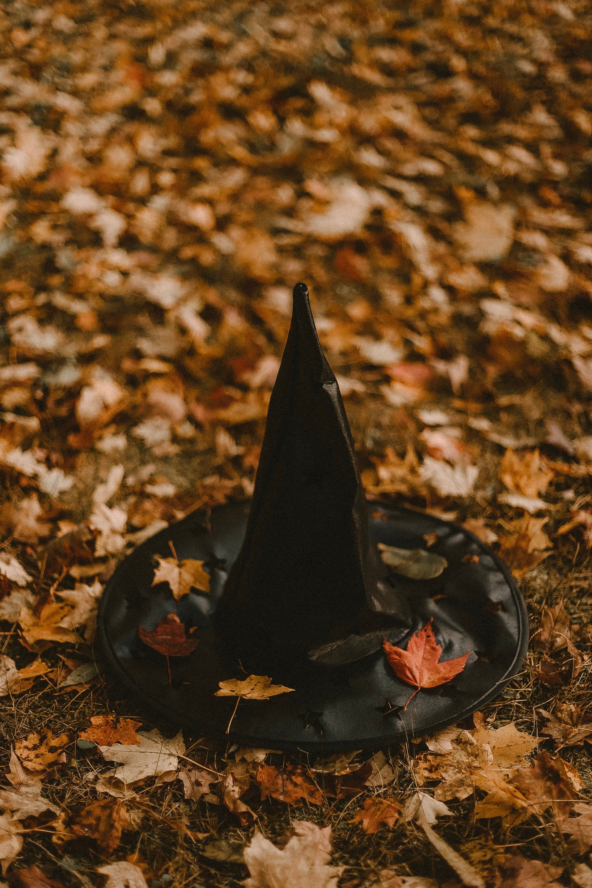 Witch Hat iPhone Wallpaper Fall iPhone Wallpaper That'll Instantly Make You Feel Cozy