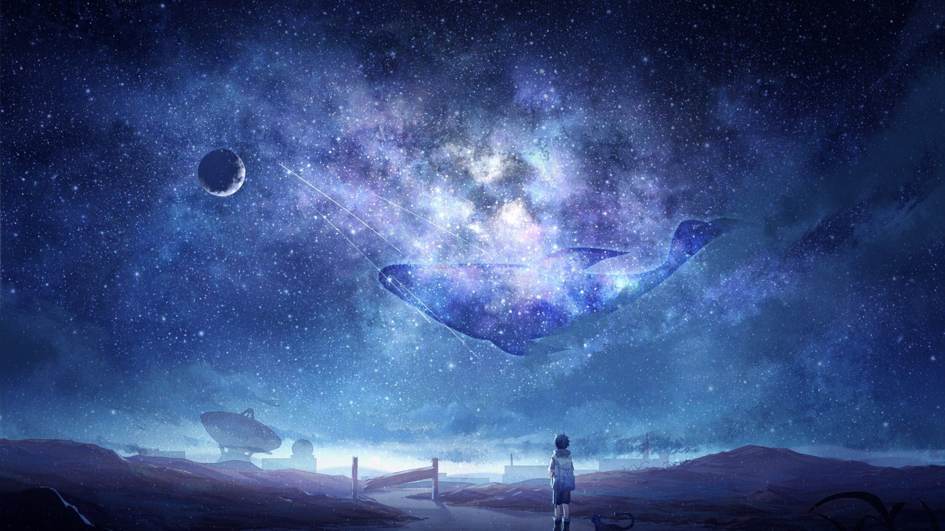 Download 1920x1080 Anime Sky, Milky Way, Stars, Anime Boy, Dog, Moon, Whale, Galaxy Wallpaper for Widescreen
