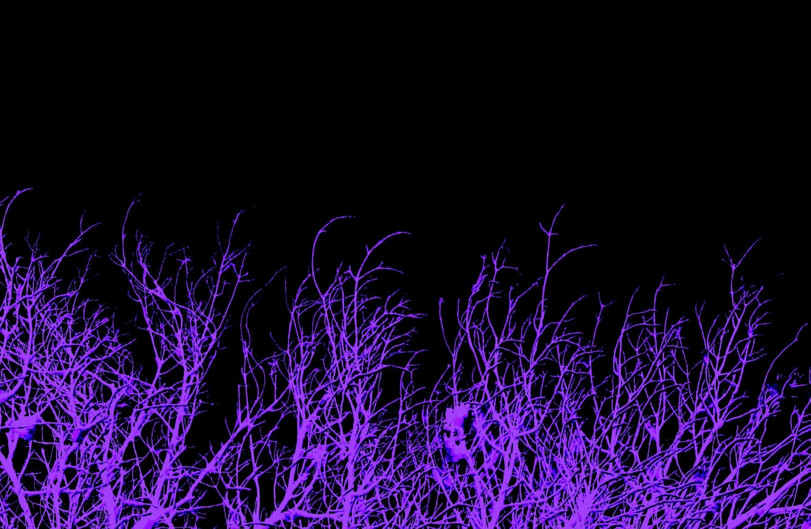 Dark Purple Wallpaper