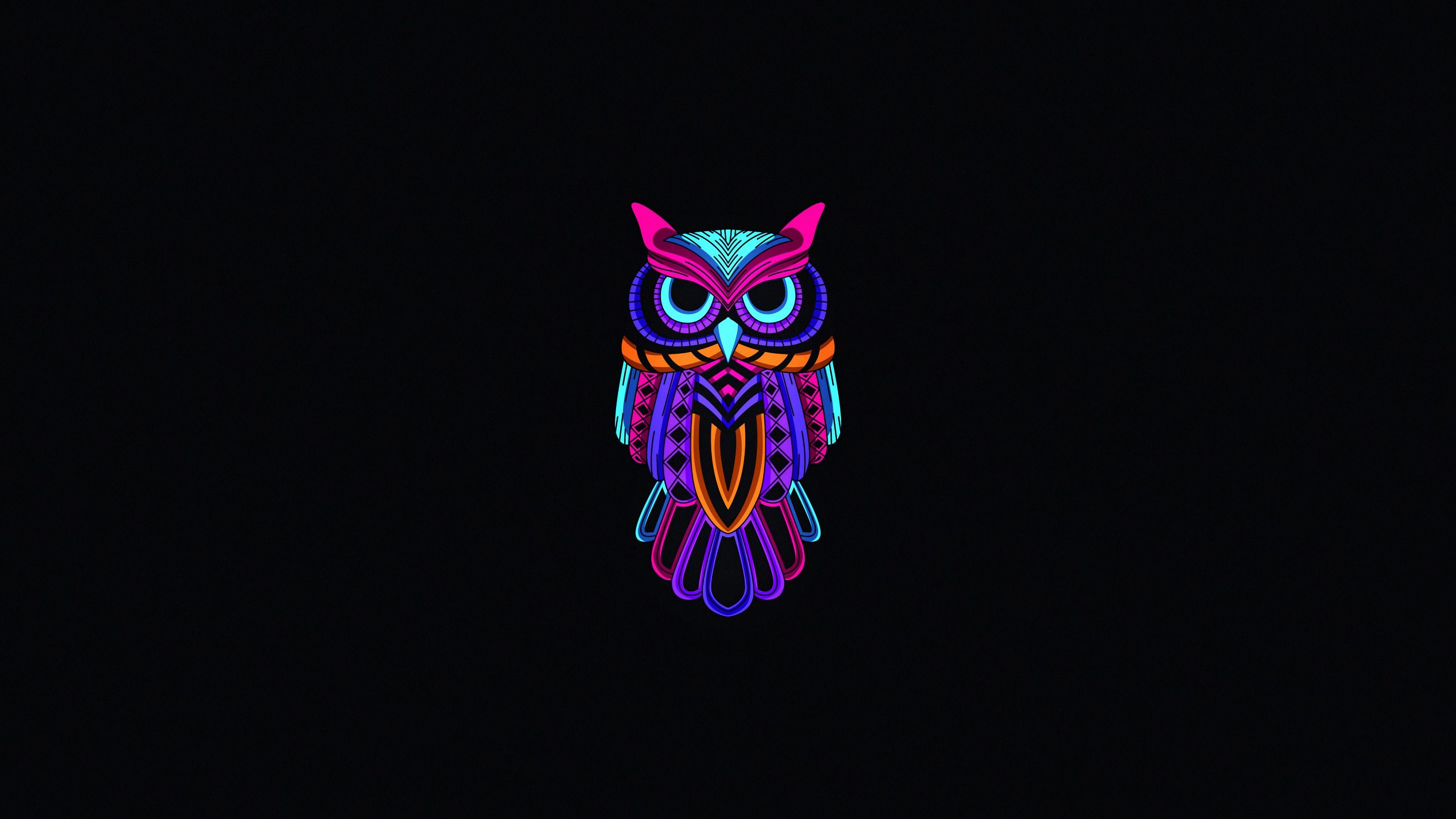 Owl Minimal Dark 4k 1680x1050 Resolution HD 4k Wallpaper, Image, Background, Photo and Picture