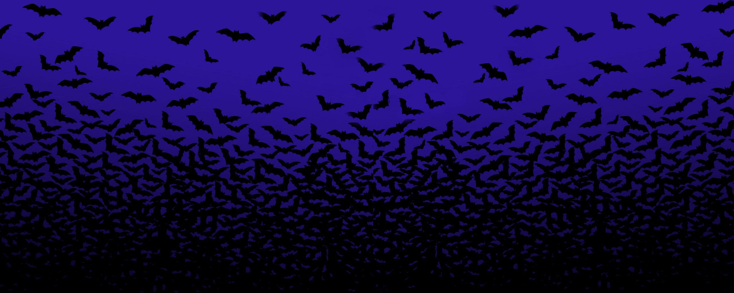 T Shirt Madness!. Halloween Wallpaper, Halloween Bats, Dual Screen Wallpaper