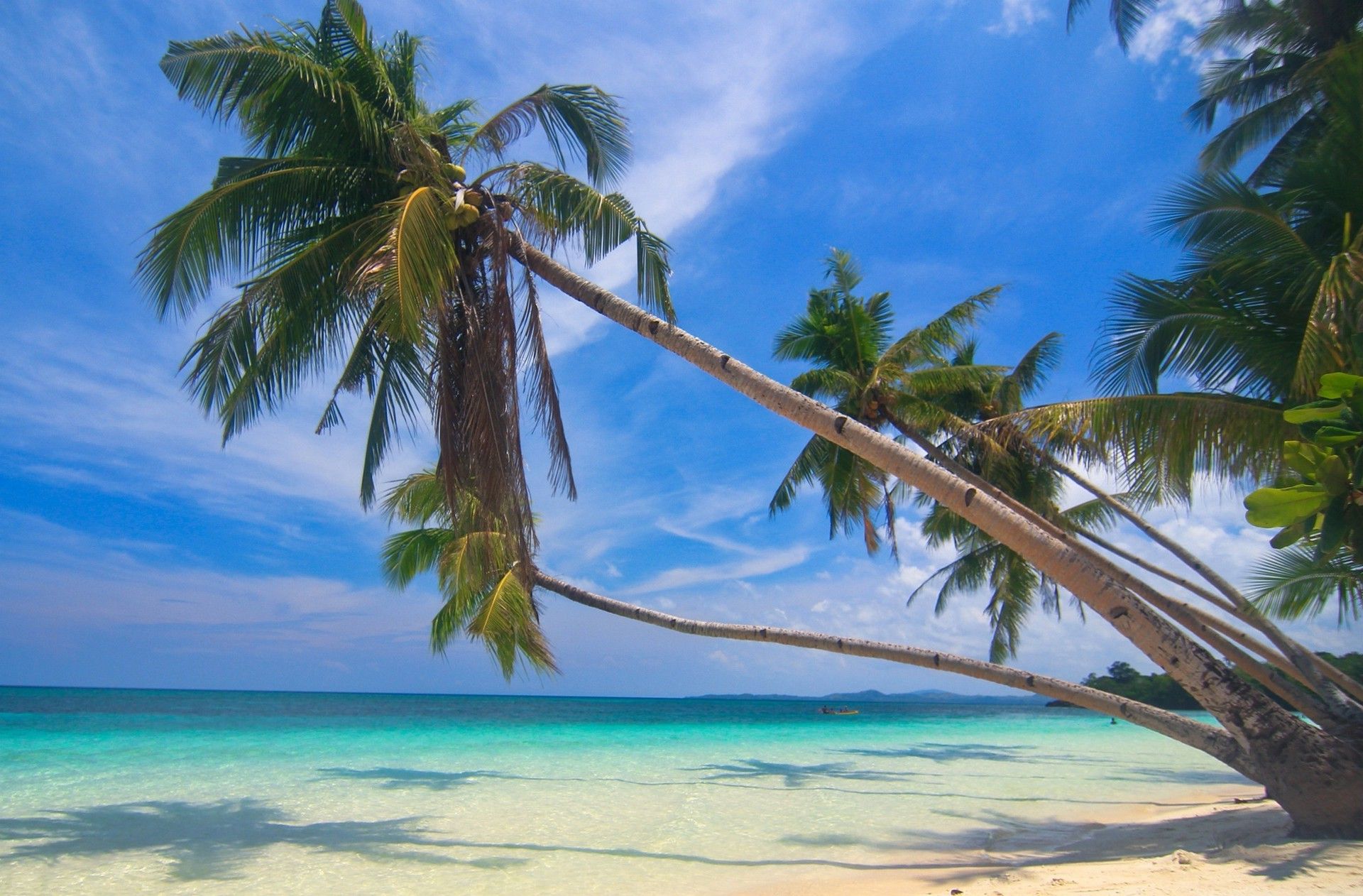 photography, Nature, Landscape, Palm Trees, White, Sand, Beach, Tropical, Sea, Summer, Island, Philippines Wallpaper HD / Desktop and Mobile Background