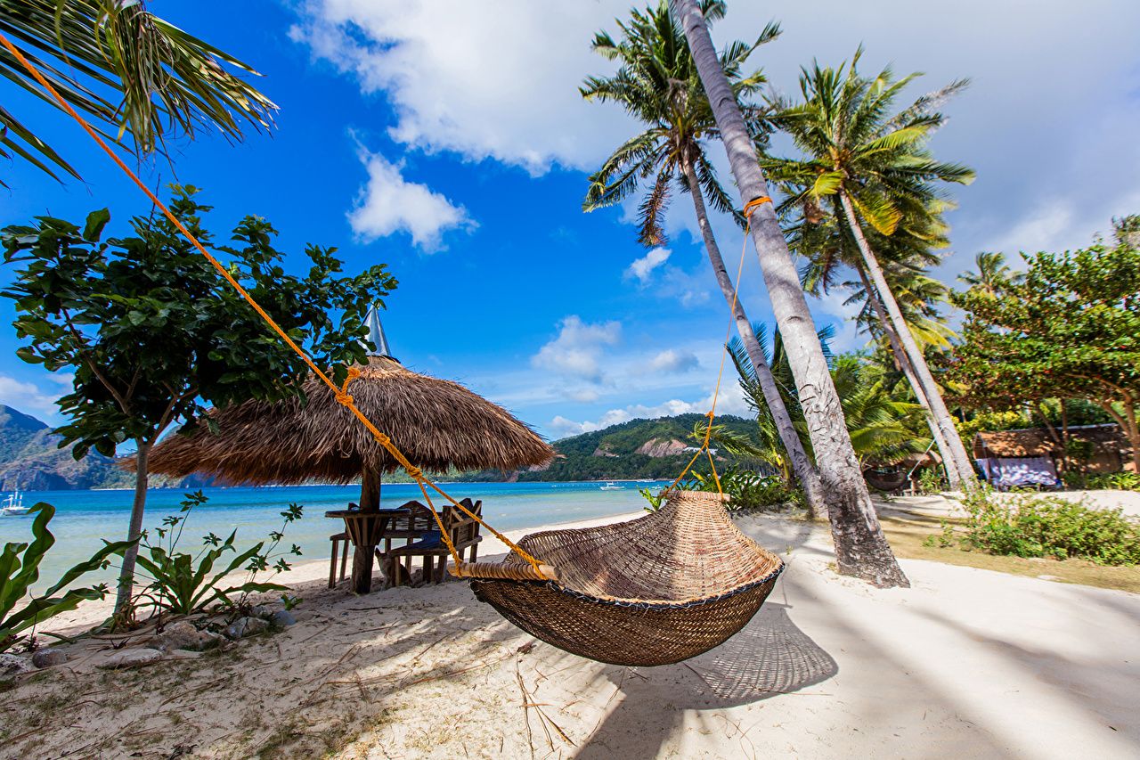 Picture Philippines Hammock beaches Nature Sand Tropics palm trees