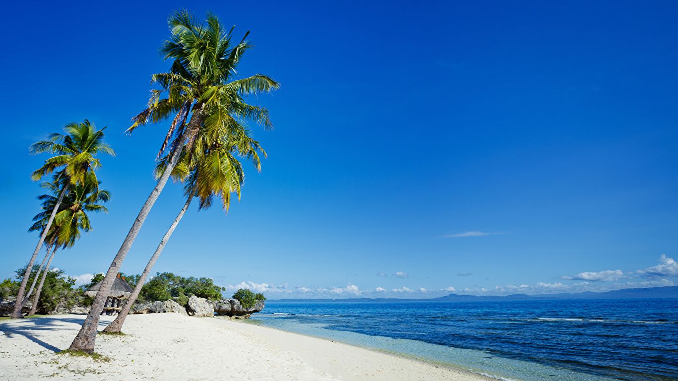 image Philippines Beach Nature Sand Palms Tropics Coast 1366x768