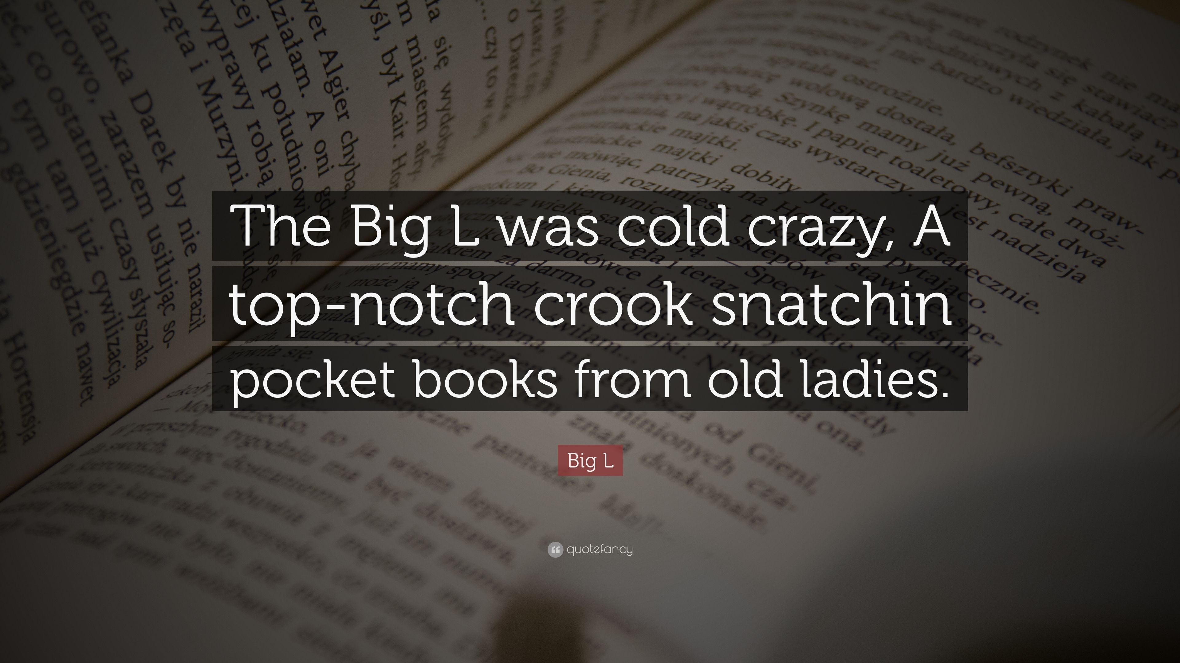 Big L Quote: “The Big L Was Cold Crazy, A Top Notch Crook Snatchin Pocket Books From Old Ladies.” (7 Wallpaper)