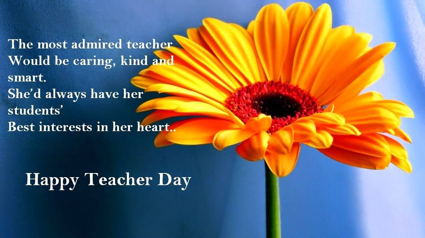 Free download 50 Happy World Teachers Day Wishes Image And Photo [1440x806] for your Desktop, Mobile & Tablet. Explore World Teacher's Day Wallpaper. World Teacher's Day Wallpaper, World Environment