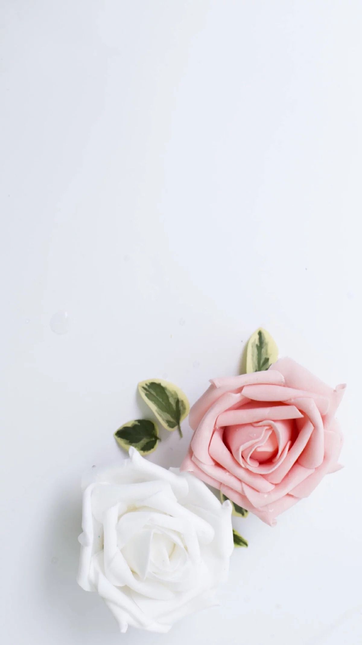 fesyen. Nature iphone wallpaper, Rose wallpaper, Cute wallpaper