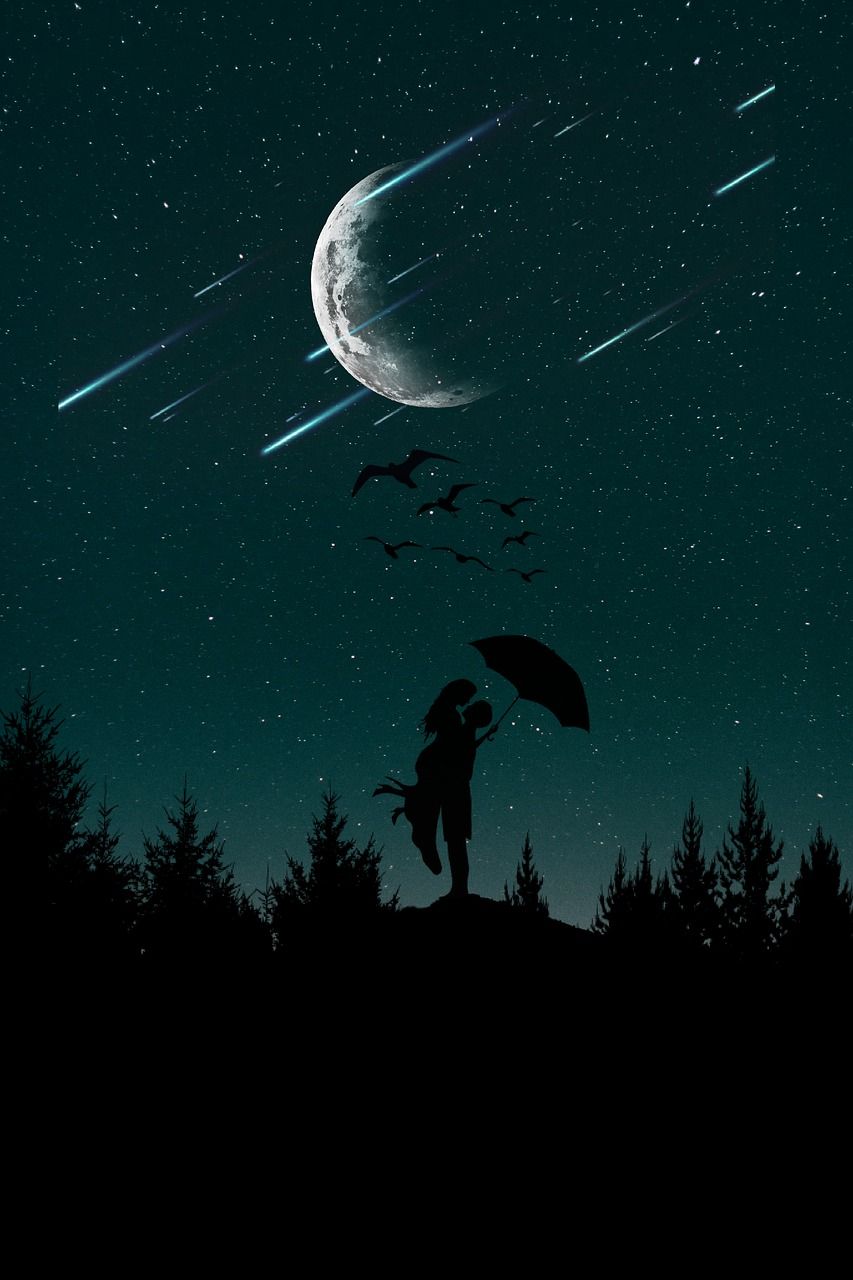 Free Image Love Sky Woman Romantic. Night sky wallpaper Silhouette painting Sky aesthetic