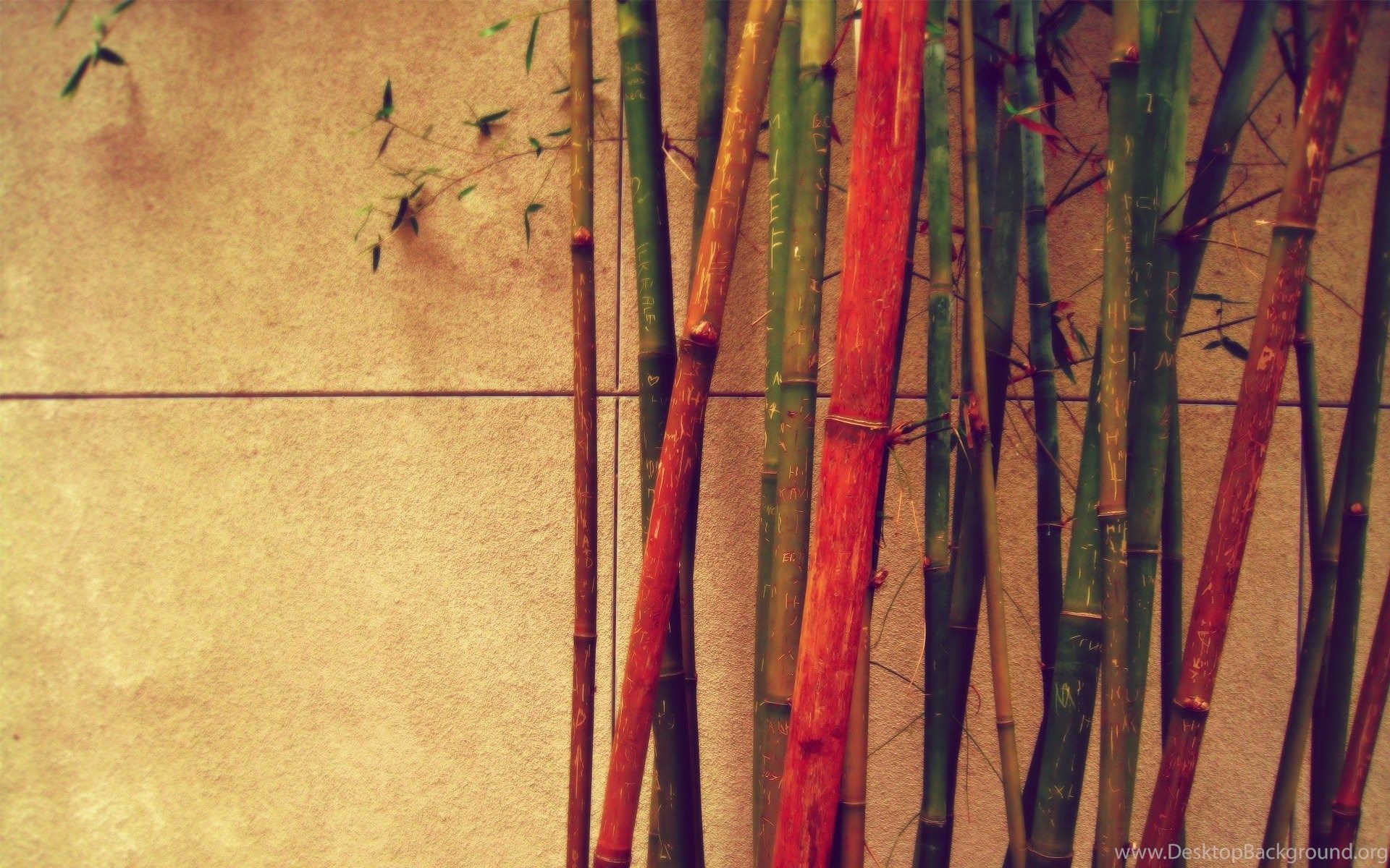 Bamboo Vintage Retro Wallpaper Wide 65417 Desktop Background