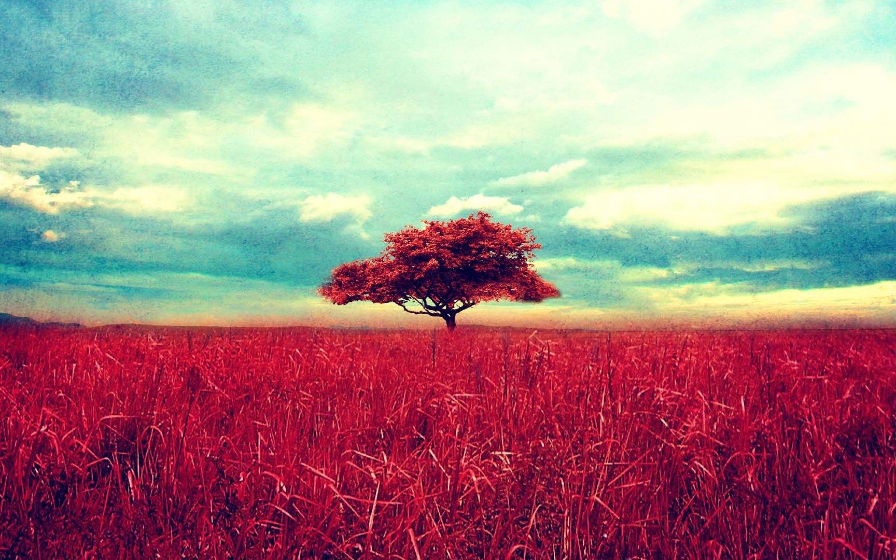 Retro red tree and a beautiful wheat field. Landscape wallpaper, Vintage landscape, Nature wallpaper