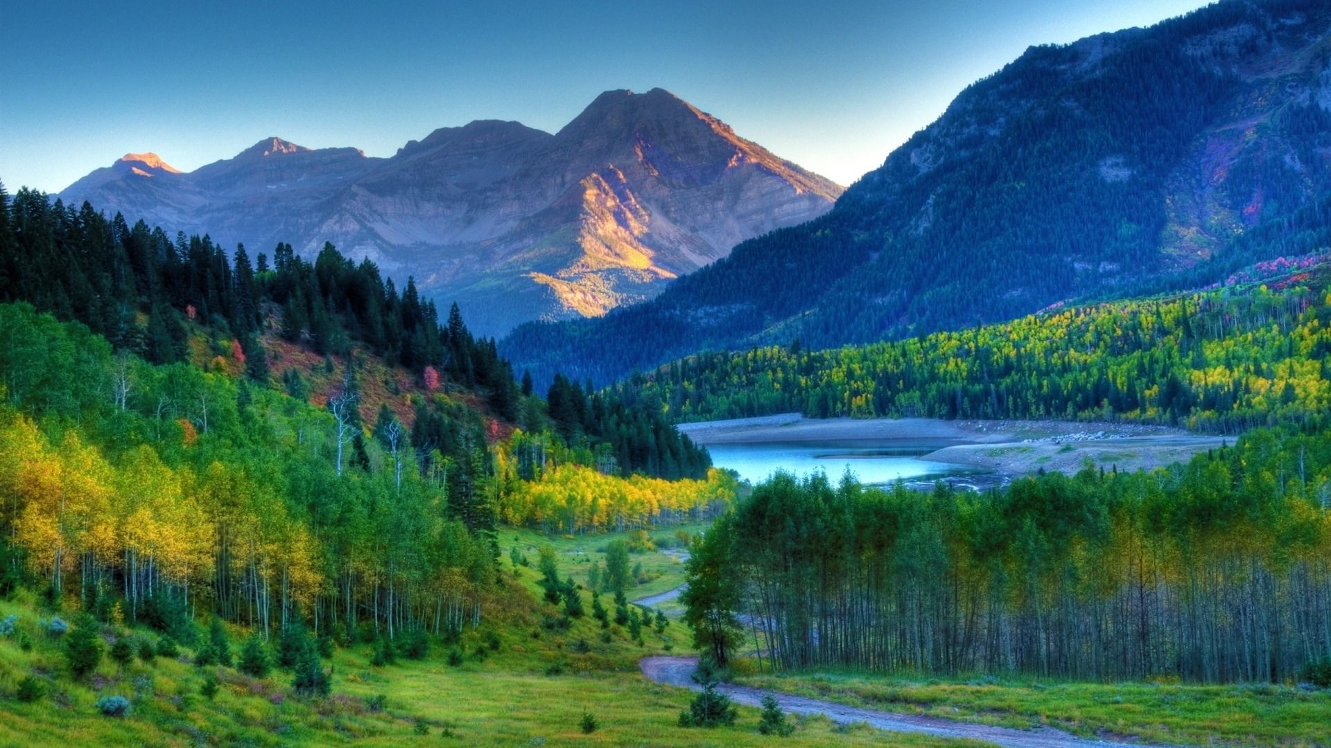 Download Wallpaper forest mountains, 1920x Early autumn in the mountains
