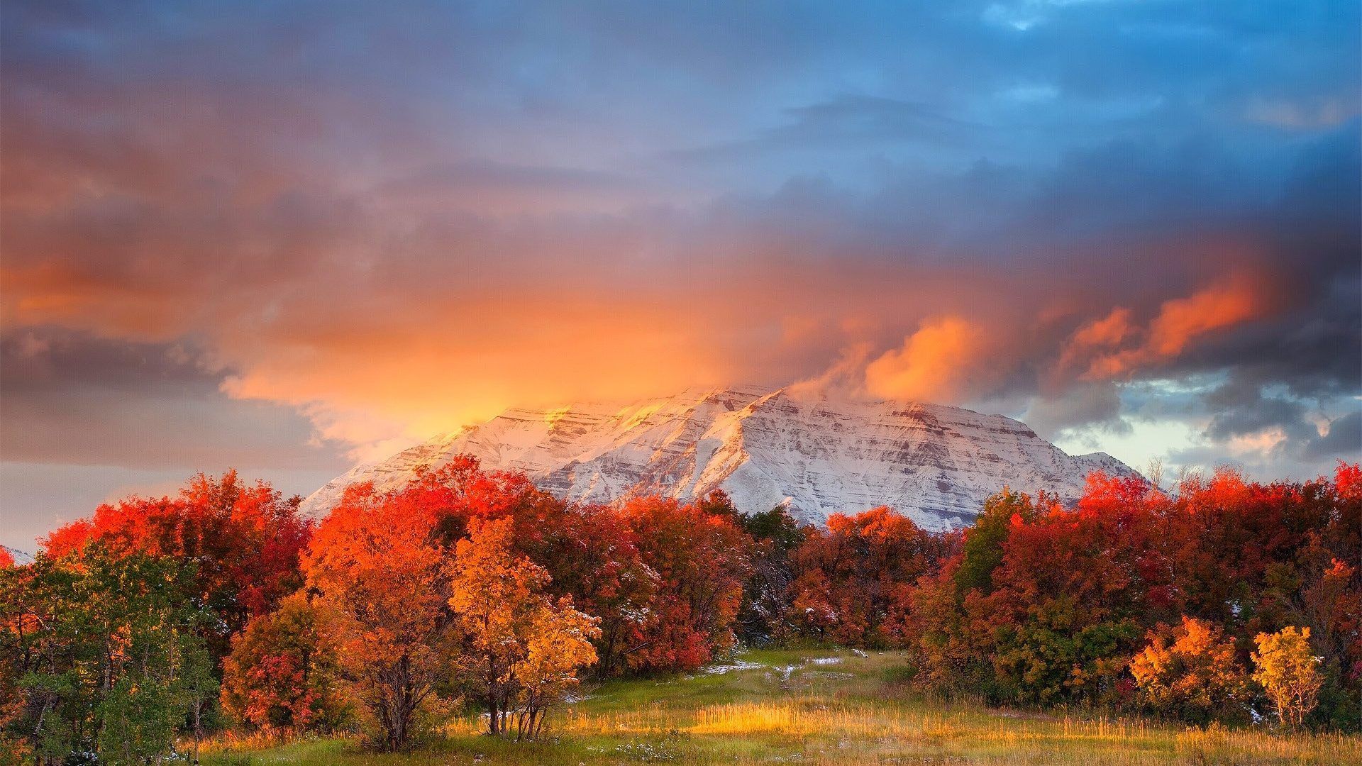 Damra Colors Sky Narrows Forest Autumn Checkerboard Clouds Beautiful Peaks Wasatch Canyon Snowy Utah Meadows Wi. Vacation locations, Road trip usa, Vacation trips